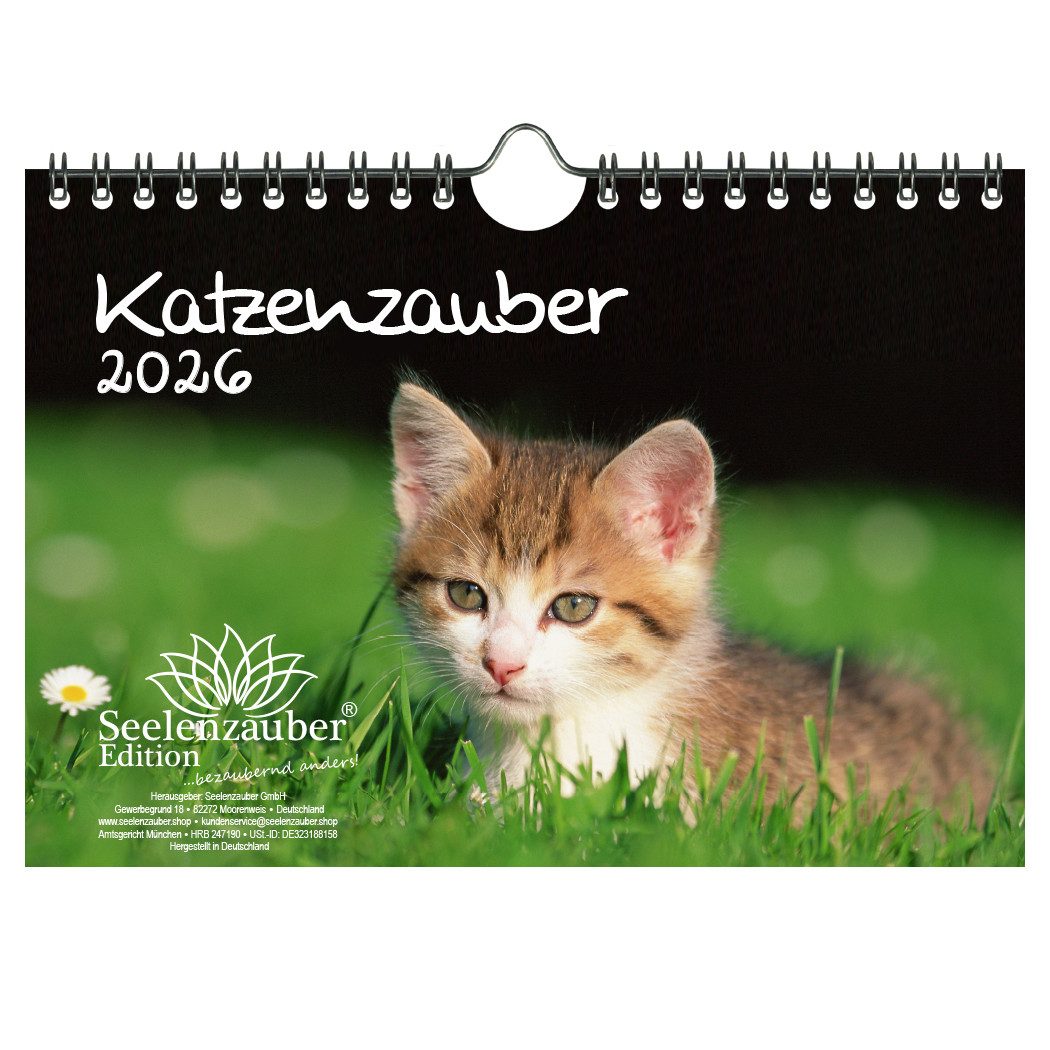 Seelenzauber Wandkalender Katzenzauber DIN A5 Kalender für 2026 Katzen und Katzenbabys