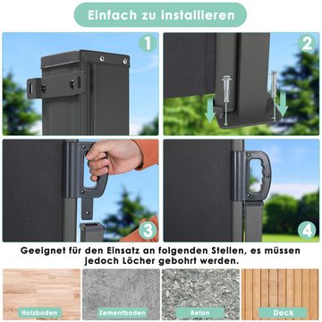 TLGREEN Seitenmarkise 300x160cm,Seitenwandmarkise Ausziehbar, Sichtschutz,Wasserdicht