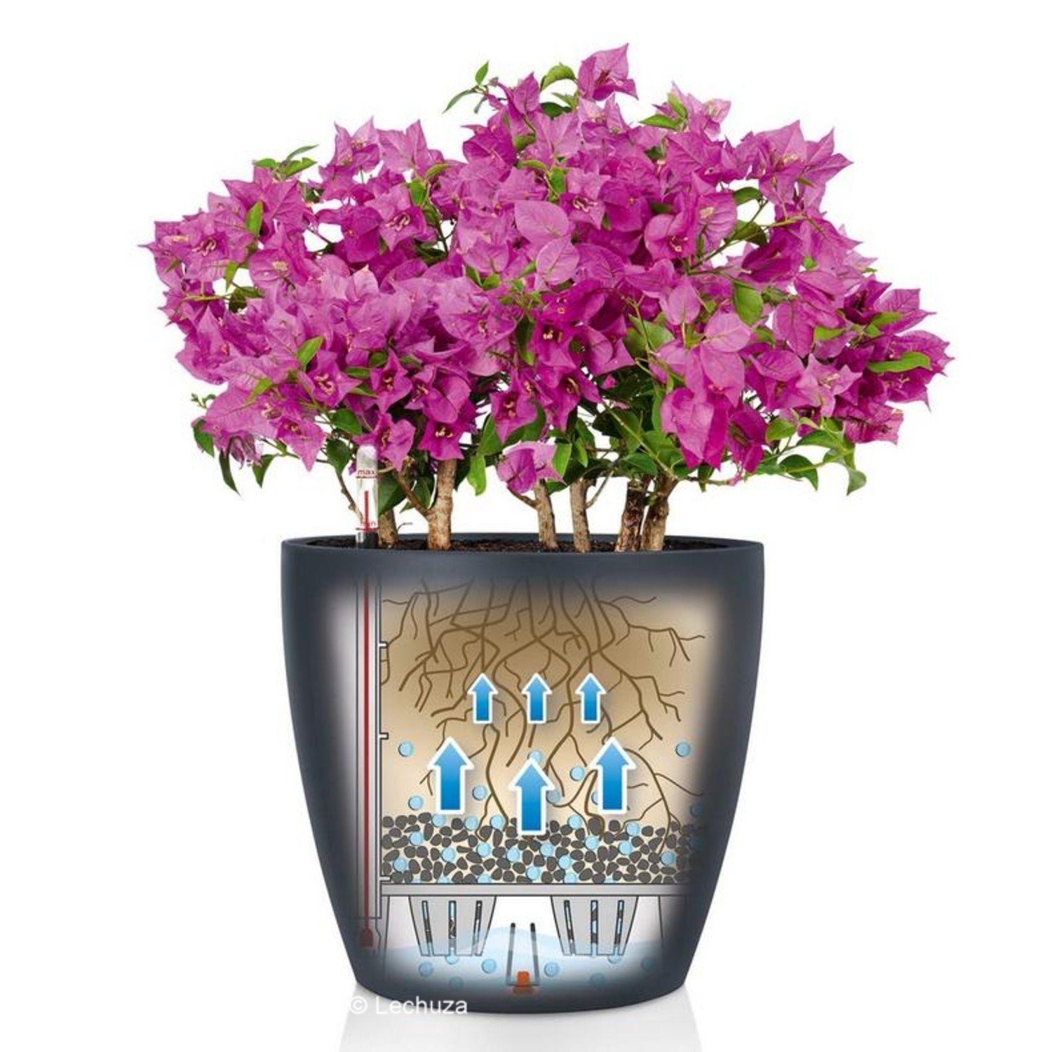 Lechuza® Pflanzkübel Blumentopf Classico Color 18 weiß (Komplettset) – Bild 4 von 5
