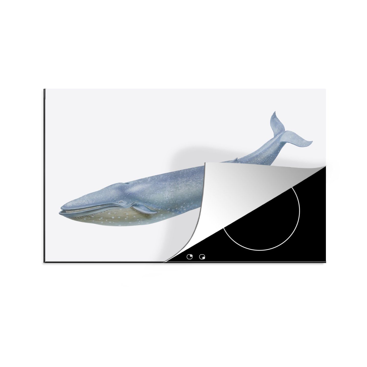 Arbeitsplatte Blauwals, tlg), cm, 83x51 Eine Ceranfeldabdeckung, naturgetreue küche für Herdblende-/Abdeckplatte (1 Illustration MuchoWow des Vinyl,