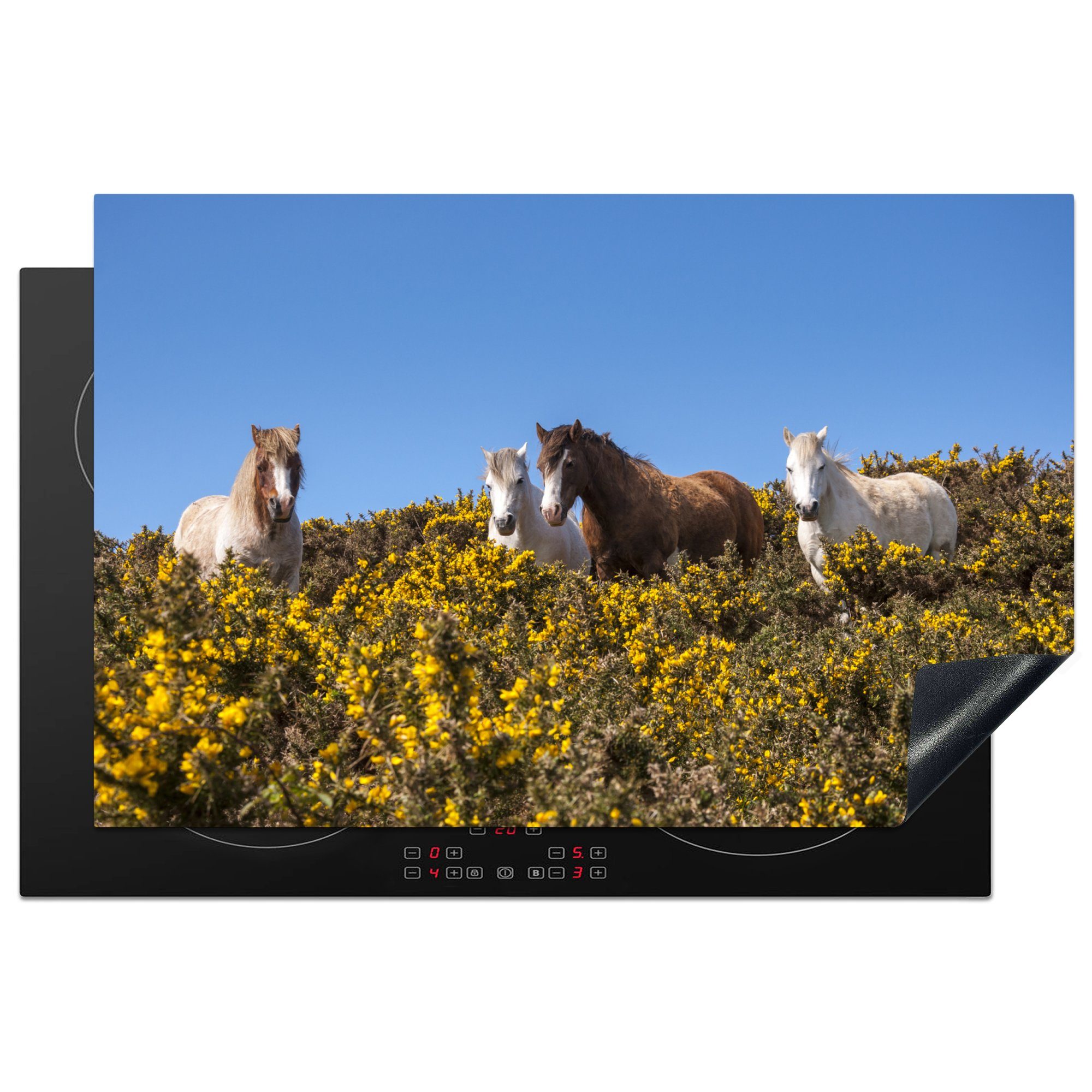 National Ponys in Schutz Ceranfeldabdeckung tlg), England, Coast 81x52 Vinyl, cm, Herdblende-/Abdeckplatte MuchoWow Pembrokeshire küche, für (1 Induktionskochfeld Park im die