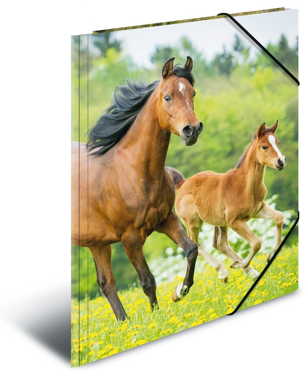 HERMA Fächermappe Gummizugmappe A4 PP (Polypropylen) Pferde (3 Stück)