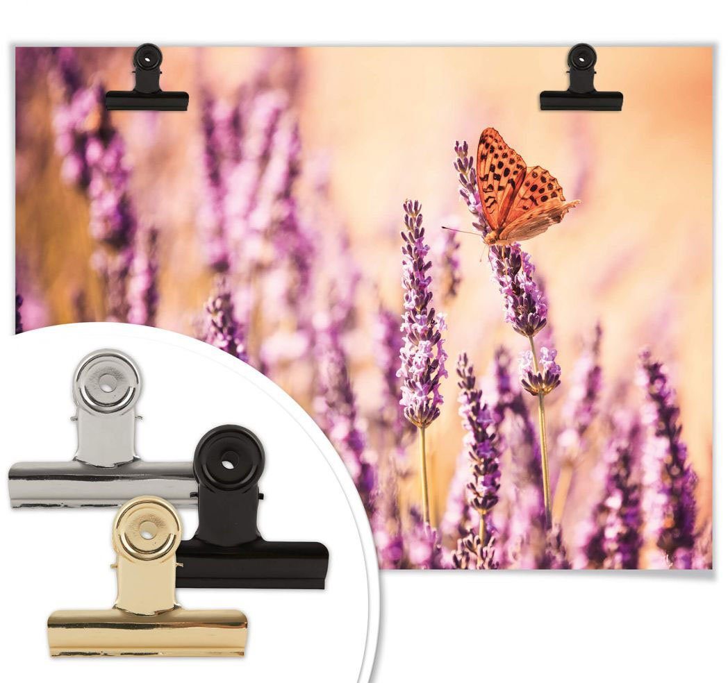 Wandbild, Schmetterlinge Lavendel, Schmetterling Wall-Art (1 Poster Bild, St), Poster, Wandposter