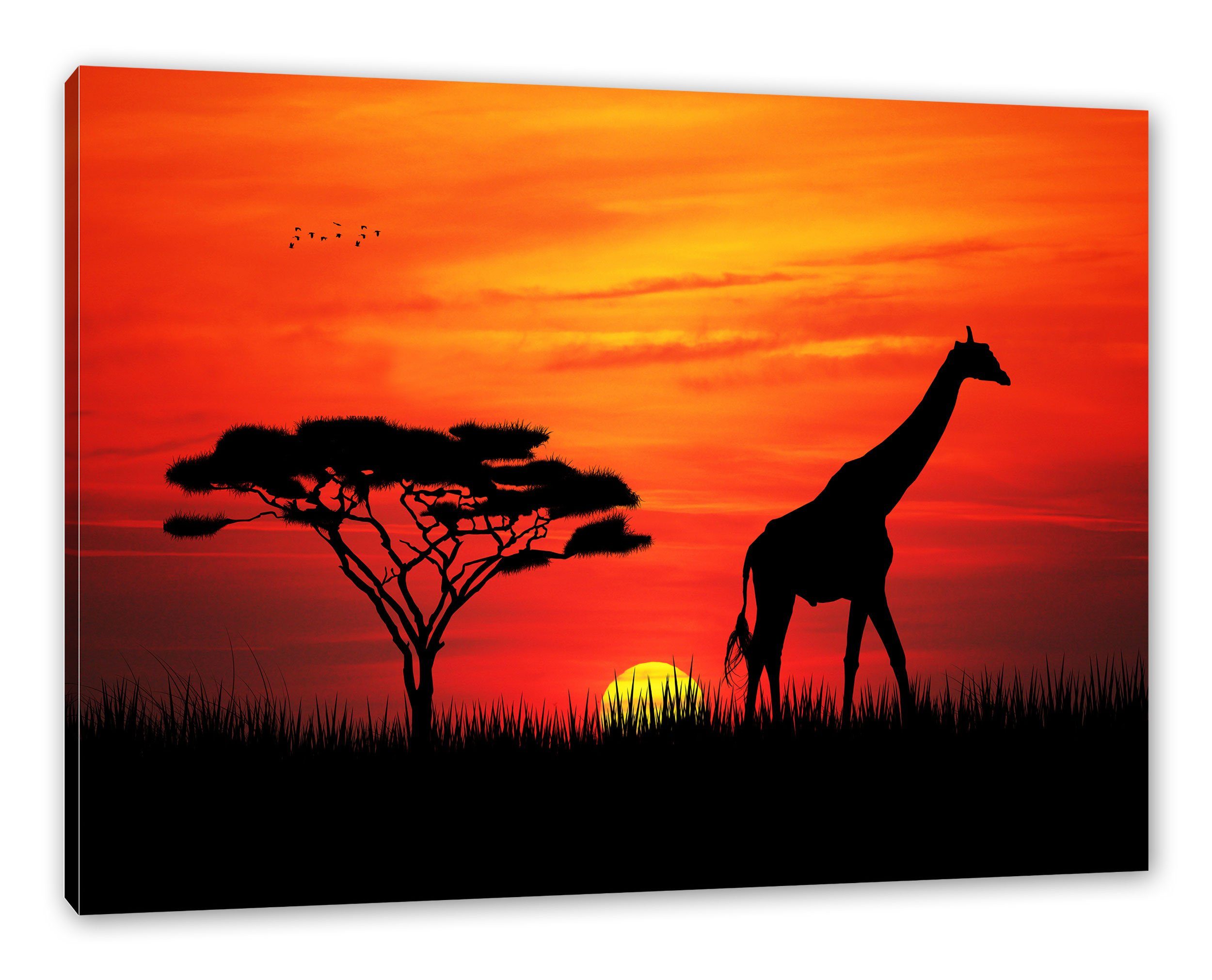 Pixxprint Leinwandbild im fertig Giraffe im (1 Zackenaufhänger inkl. bespannt, Giraffe Sonnenuntergang Sonnenuntergang, Leinwandbild St)