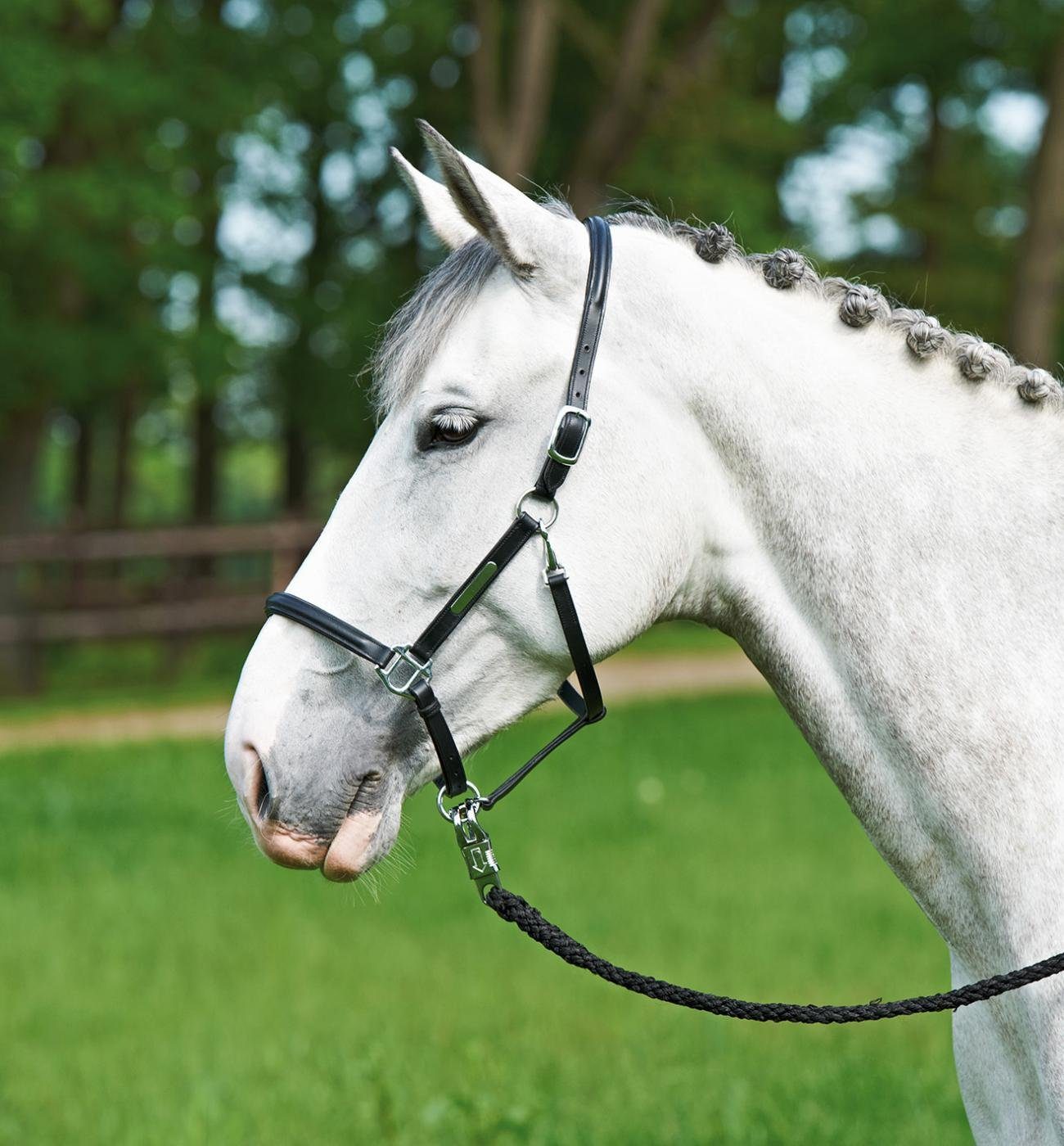 BUSSE Кобура Busse Кобура BRAND, Leder