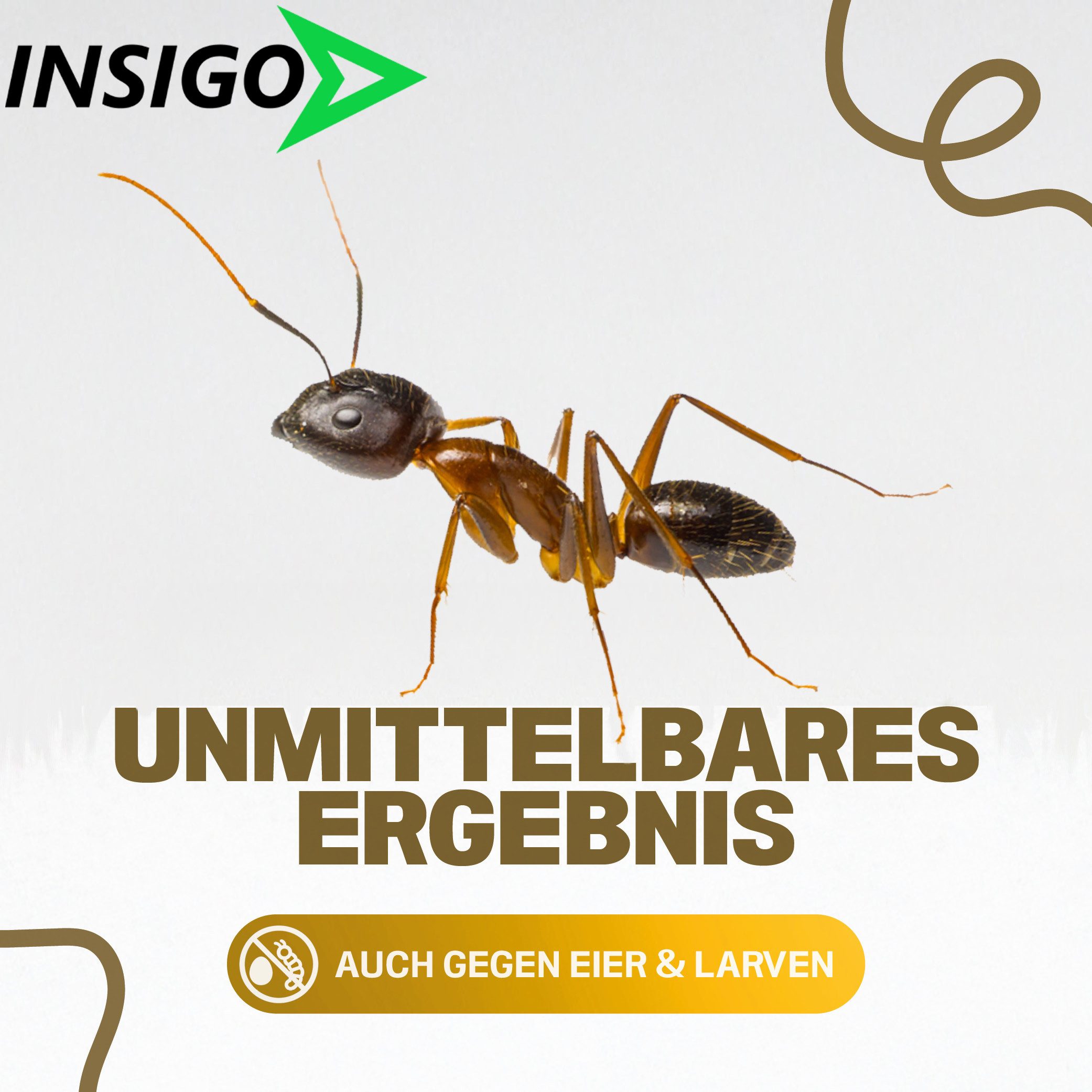 INSIGO Insektenspray Anti Ameisen-Spray Ameisen-Mittel Ungeziefer-Spray, 4 l, 4000 ml, biozidfreie Formel, auf Wasserbasis, geruchsarm, brennt / ätzt nicht – Bild 4 von 5