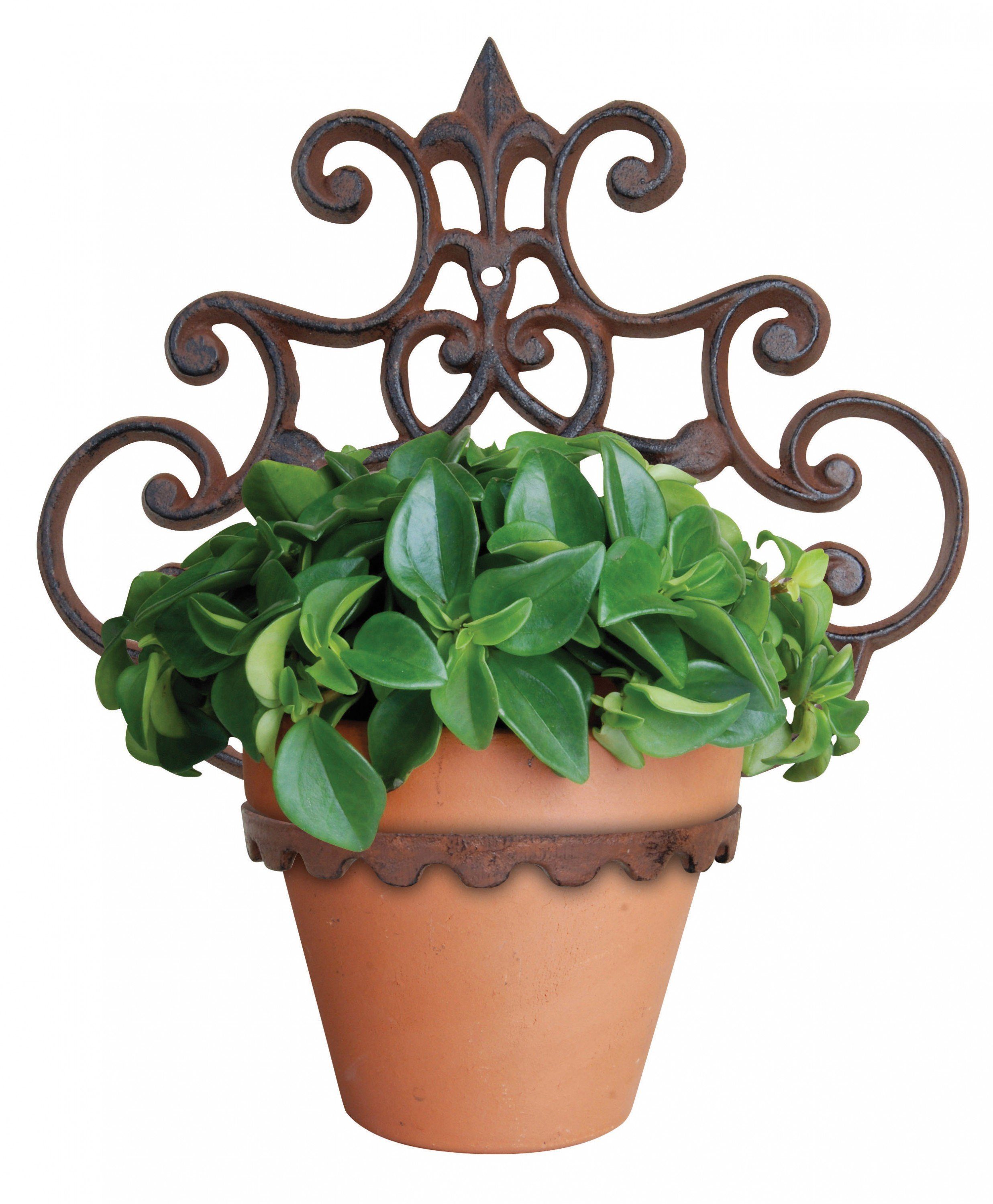 esschert design Pflanzschale Blumentopfhalter–dekorative Wandhalterung für günstig online kaufen