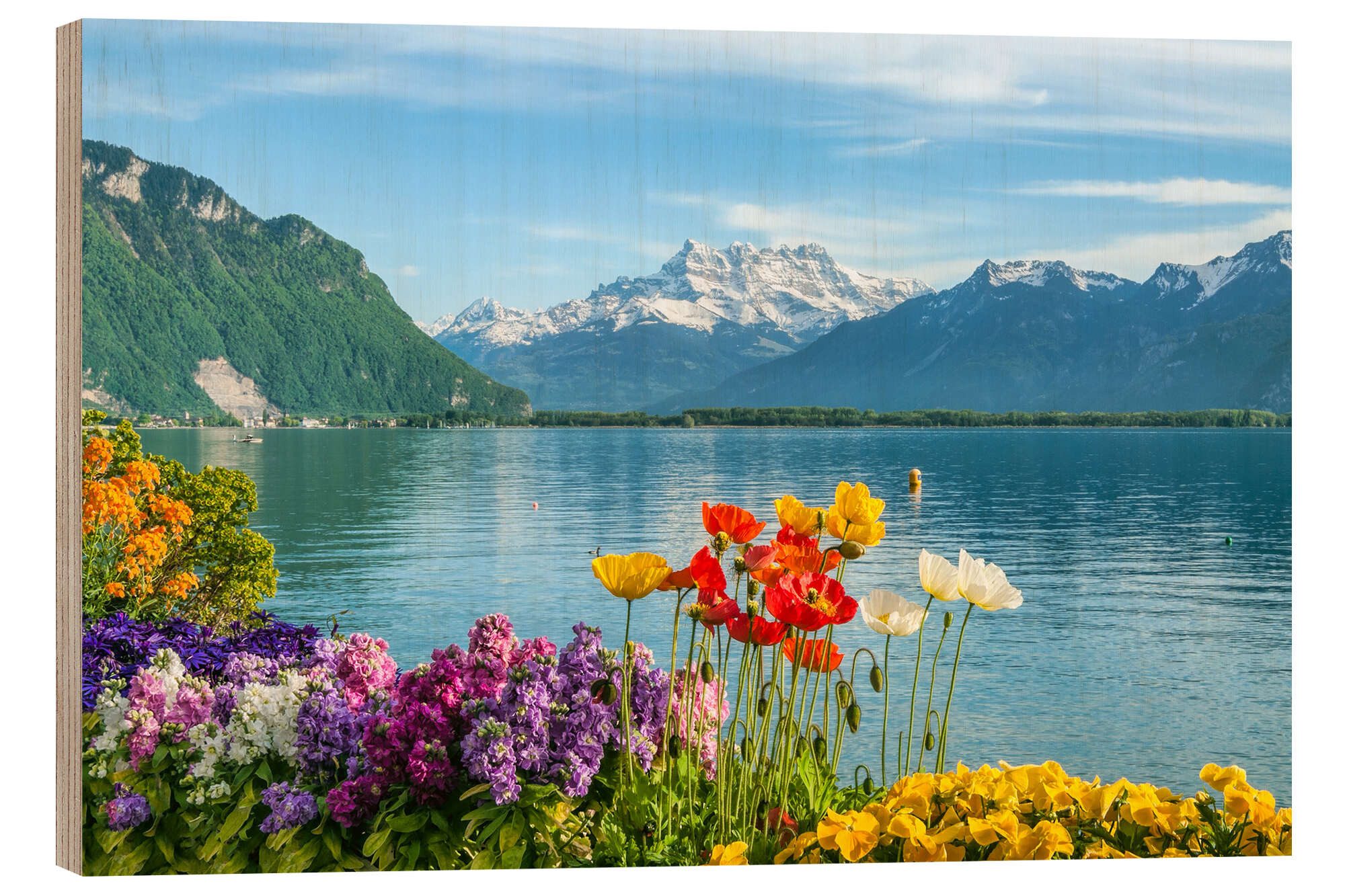 Posterlounge Wandbild Genfer See im Frühling, Olaf Protze, erhältlich als Poster, Leinwandbild, Wandsticker oder Acrylglasbild