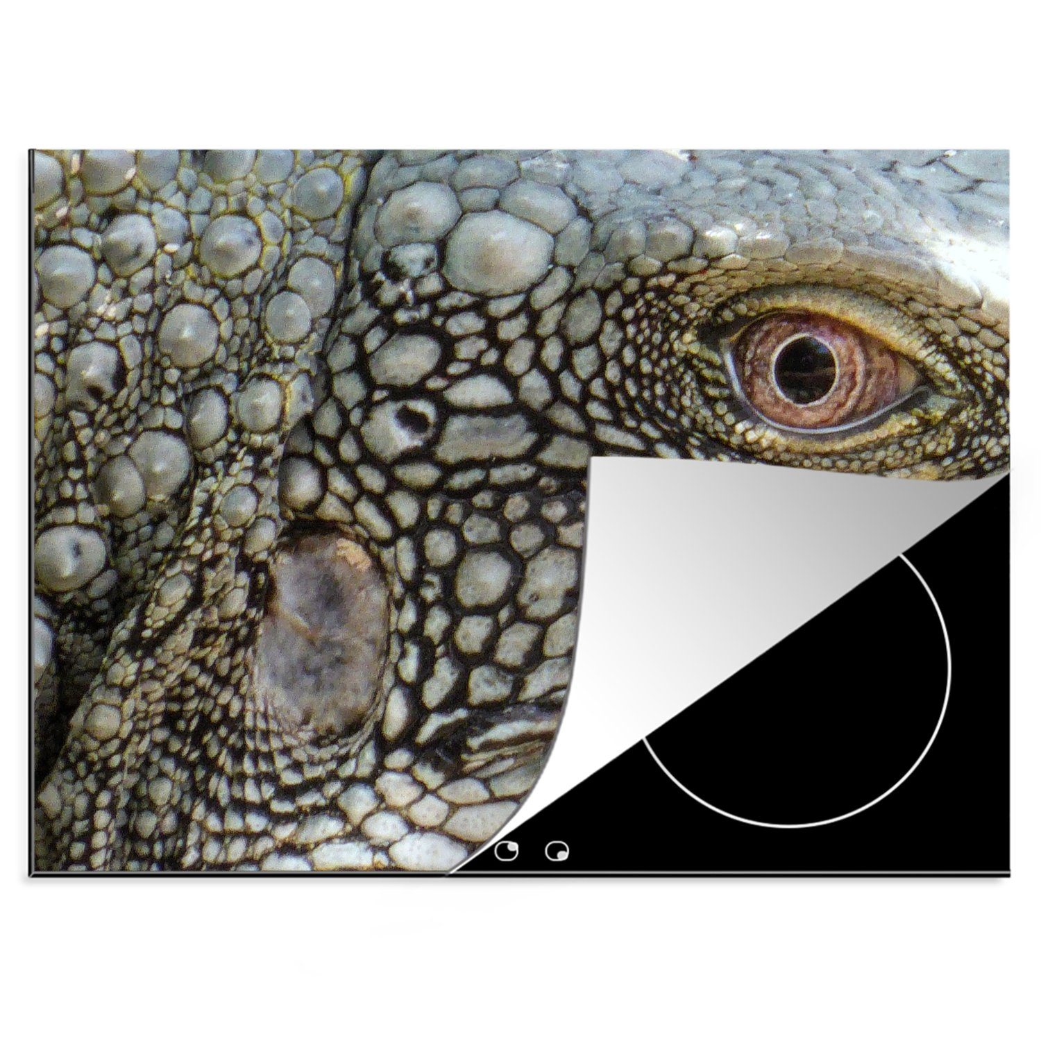 MuchoWow Herdblende-/Abdeckplatte Nahaufnahme der Seite des Kopfes eines Leguans, Vinyl, (1 tlg), 70x52 cm, Mobile Arbeitsfläche nutzbar, Ceranfeldabdeckung