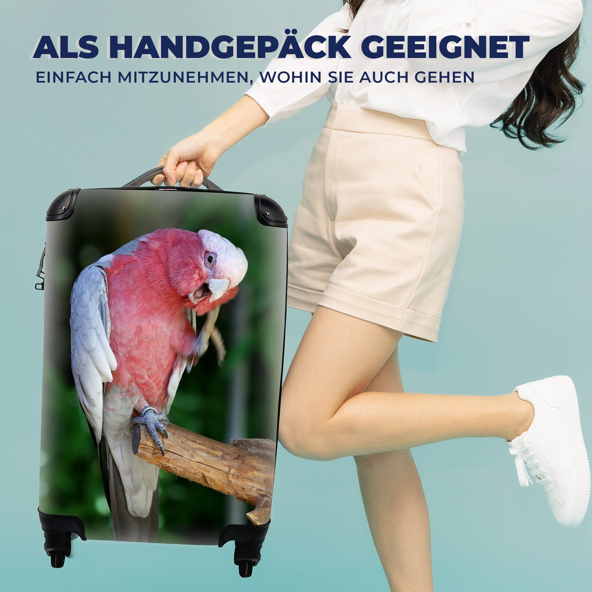 MuchoWow Handgepäckkoffer Roter Kakadu auf 4 Reisetasche Handgepäck Trolley, für Reisekoffer rollen, Rollen, mit Holzast, einem Ferien
