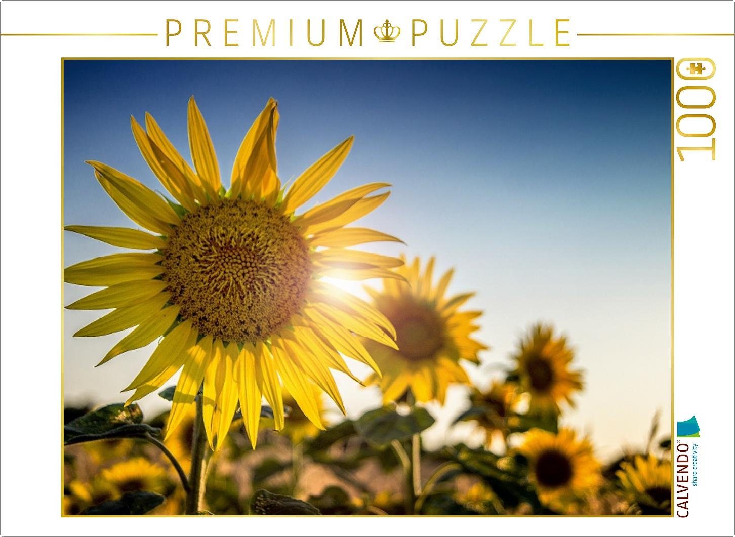 CALVENDO Puzzle CALVENDO Puzzle Sonnenblumen 1000 Teile Lege-Größe 64 x 48 cm Foto-Puzzle Bild von Foto Augenblicke-Zaubern mit Licht, 1000 Puzzleteile