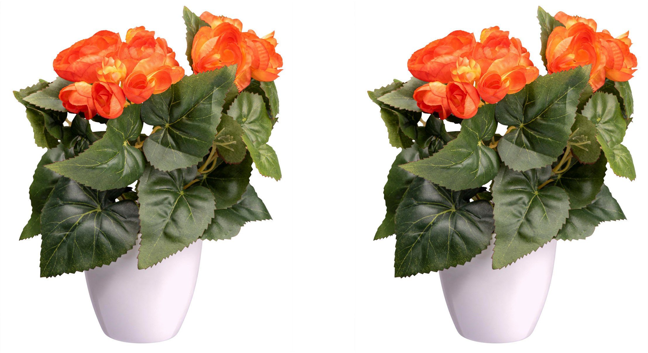 Kunstblume Begonienbusch Begonie, Creativ green, Höhe 24 cm. Reduzierter Preis € 15,43. Unverbindliche Preisempfehlung € 24,99