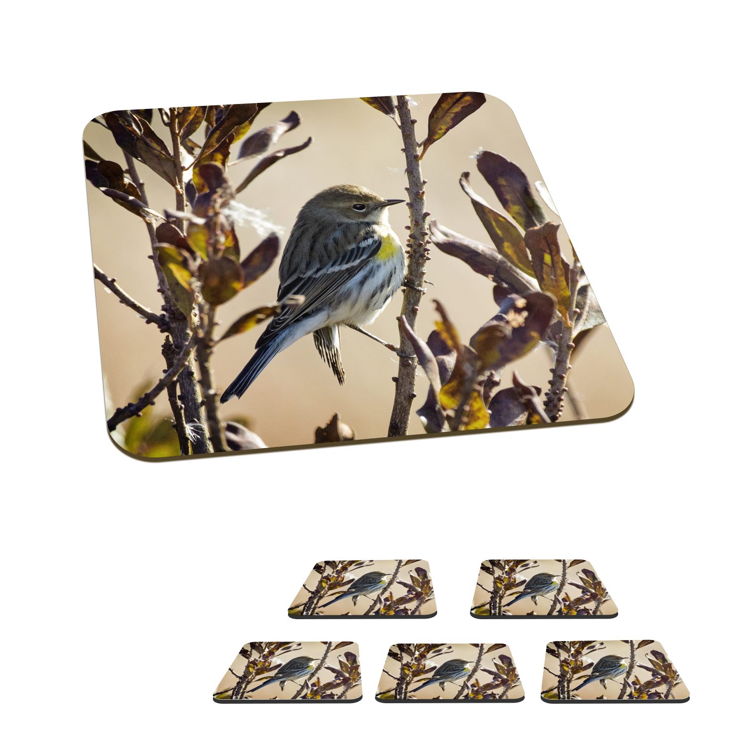 MuchoWow Glasuntersetzer Vogel zwischen einem Zweig mit Blättern, Zubehör für Gläser, 6-tlg., Glasuntersetzer, Tischuntersetzer, Korkuntersetzer, Untersetzer, Tasse