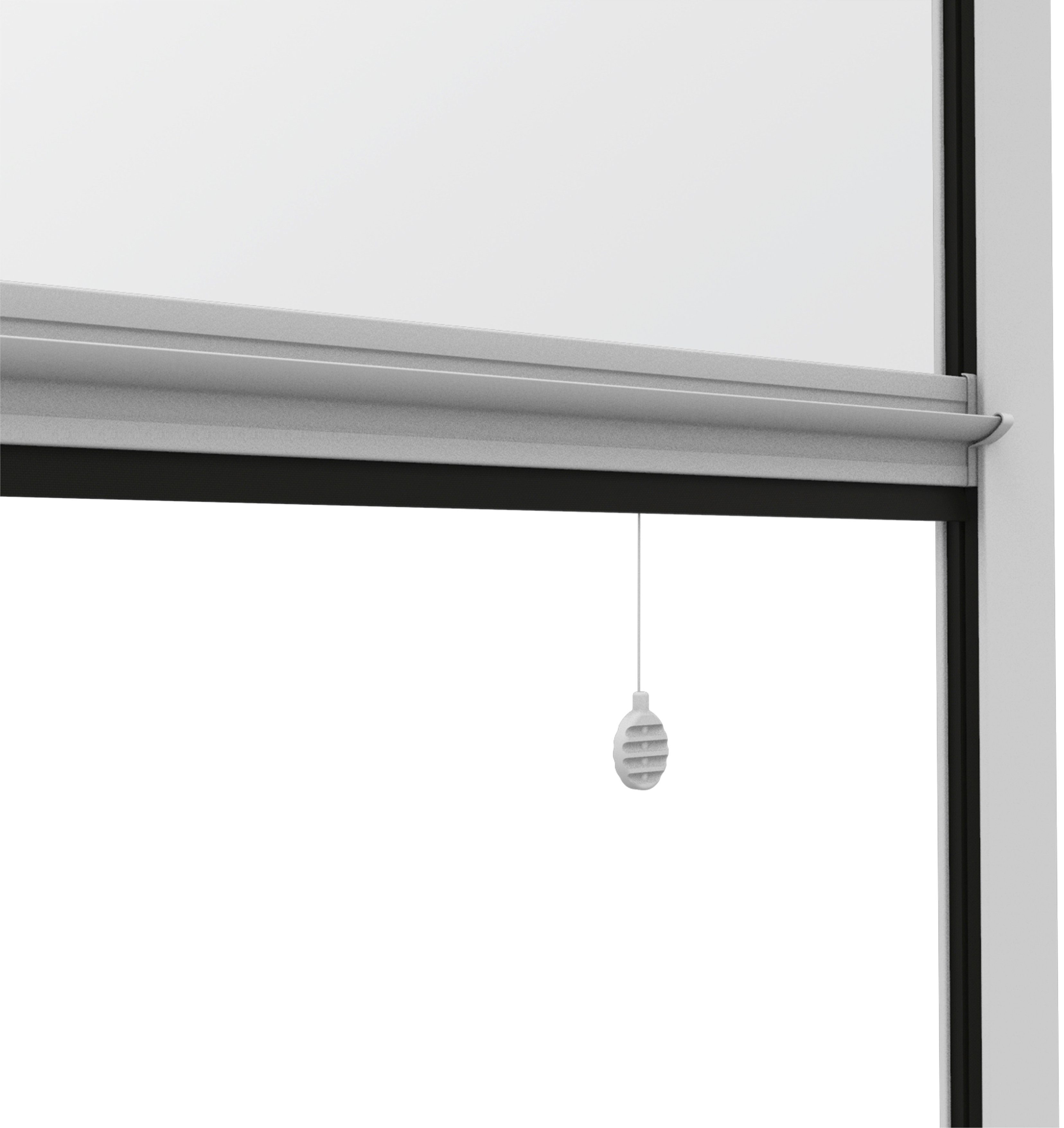 Windhager Insektenschutz-Fensterrahmen Rollo Basic, (Packung), BxH: günstig online kaufen