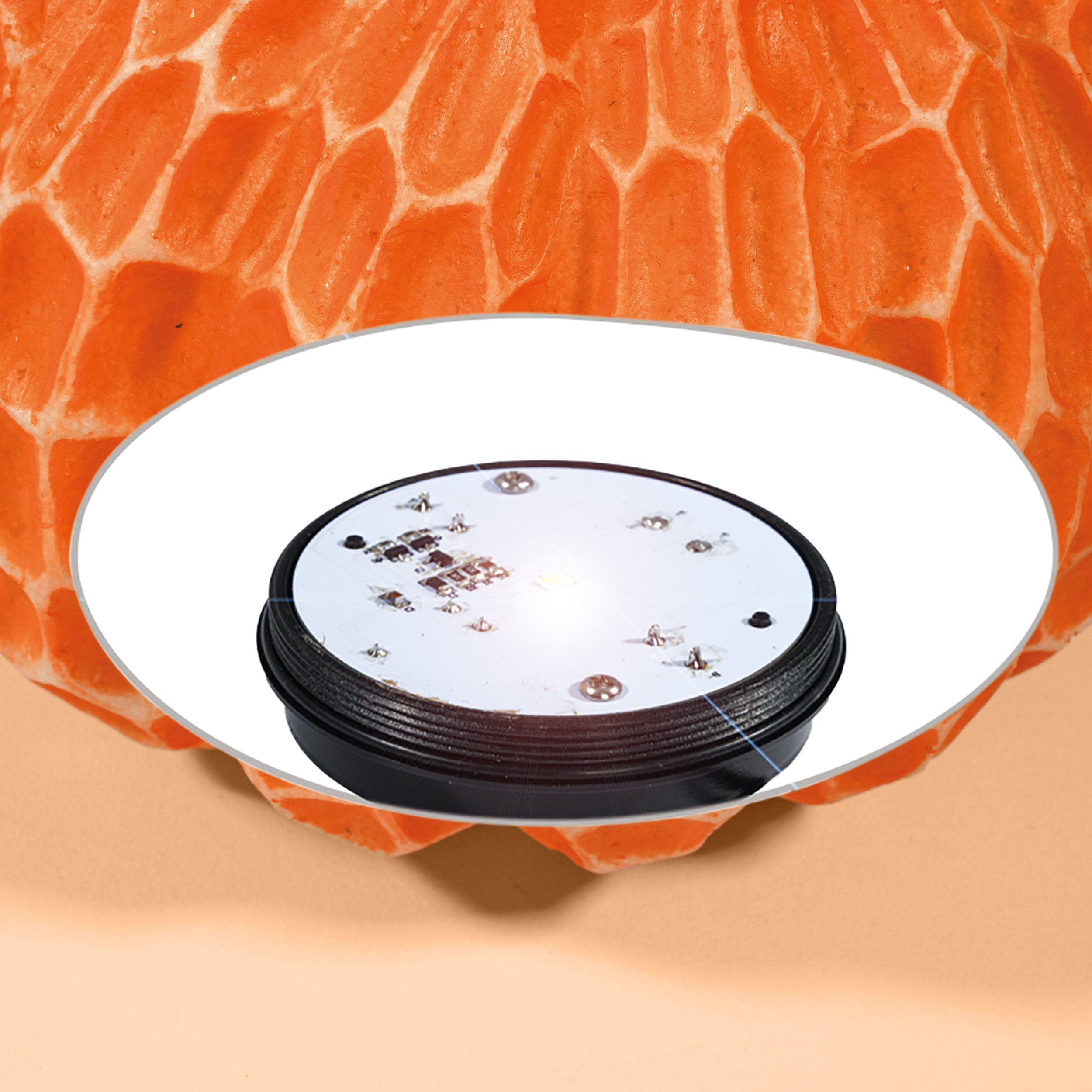 esotec LED Gartenleuchte Gartendeko Solarleuchte Kürbis, D=20cm, DUO COLOR, outdoor 102683, 2 Lichtfarben kaltweiß + warmweiß wählbar, automatisches Einschalten – Bild 5 von 5