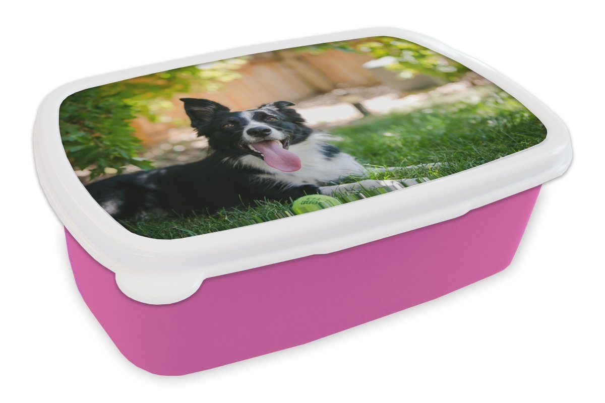 (2-tlg), Brotdose Kinder, Gras Tiere, - Brotbox rosa Kunststoff, Kunststoff Mädchen, Lunchbox Hund für MuchoWow - Snackbox, Erwachsene,