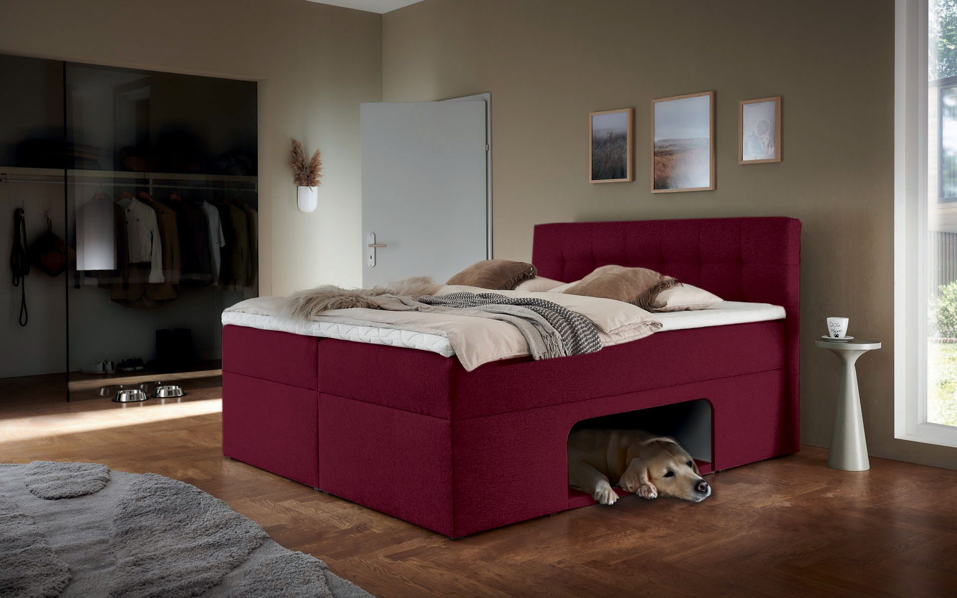 Home affaire Boxbett Carolin, mit Nische inkl. gepolsterter Unterlage für Haustiere