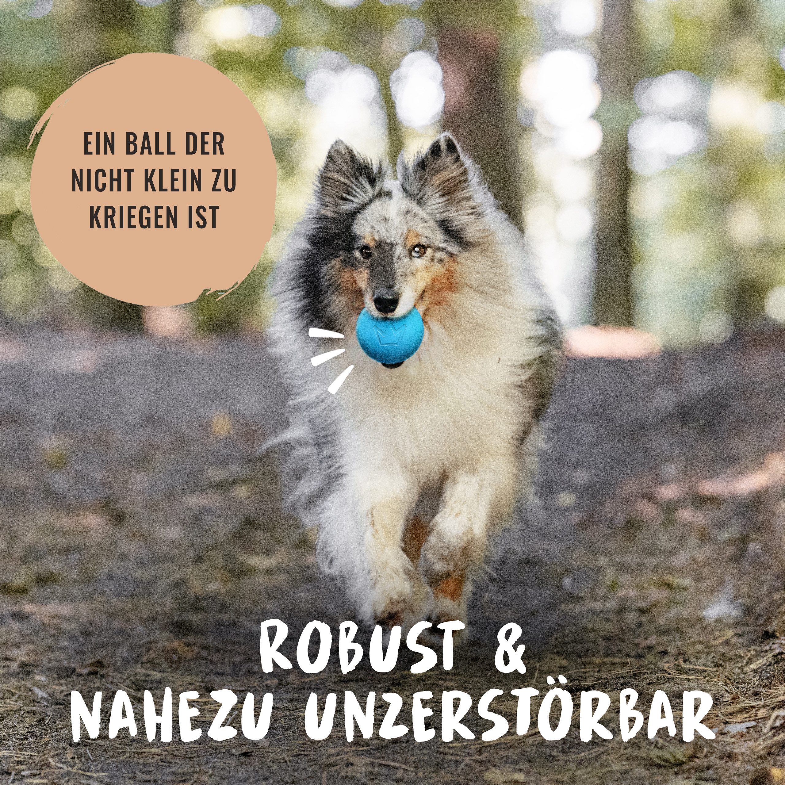 Rudelkönig Tierball Hundeball aus Naturkautschuk, Robustes Hundespielzeug, Naturkautschuk, (1-tlg) Nahezu unzerstörbares Hundespielzeug, Ball mit 6,5cm Ø