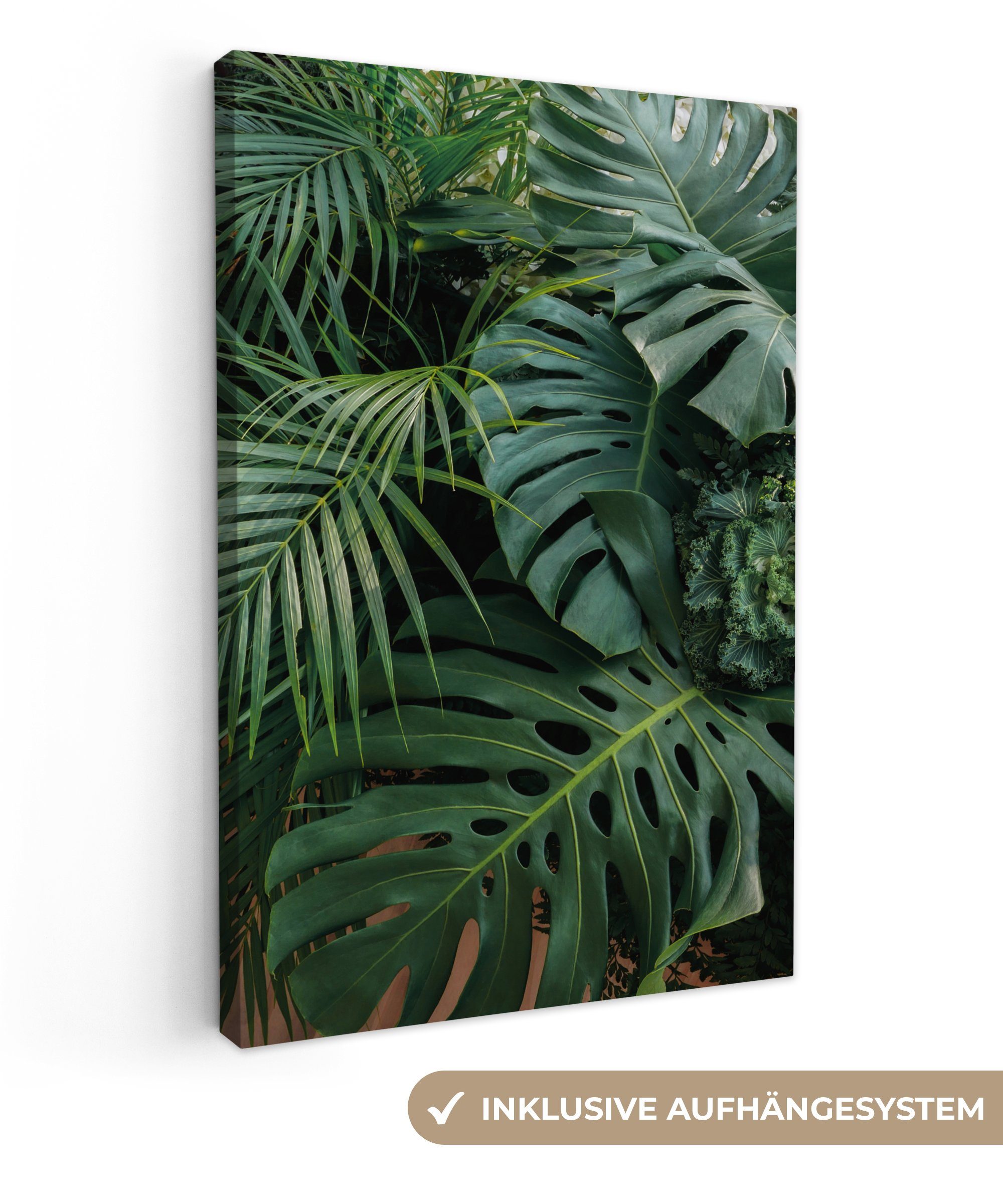 OneMillionCanvasses® Leinwandbild Pflanzen - Dschungel - günstig online kaufen