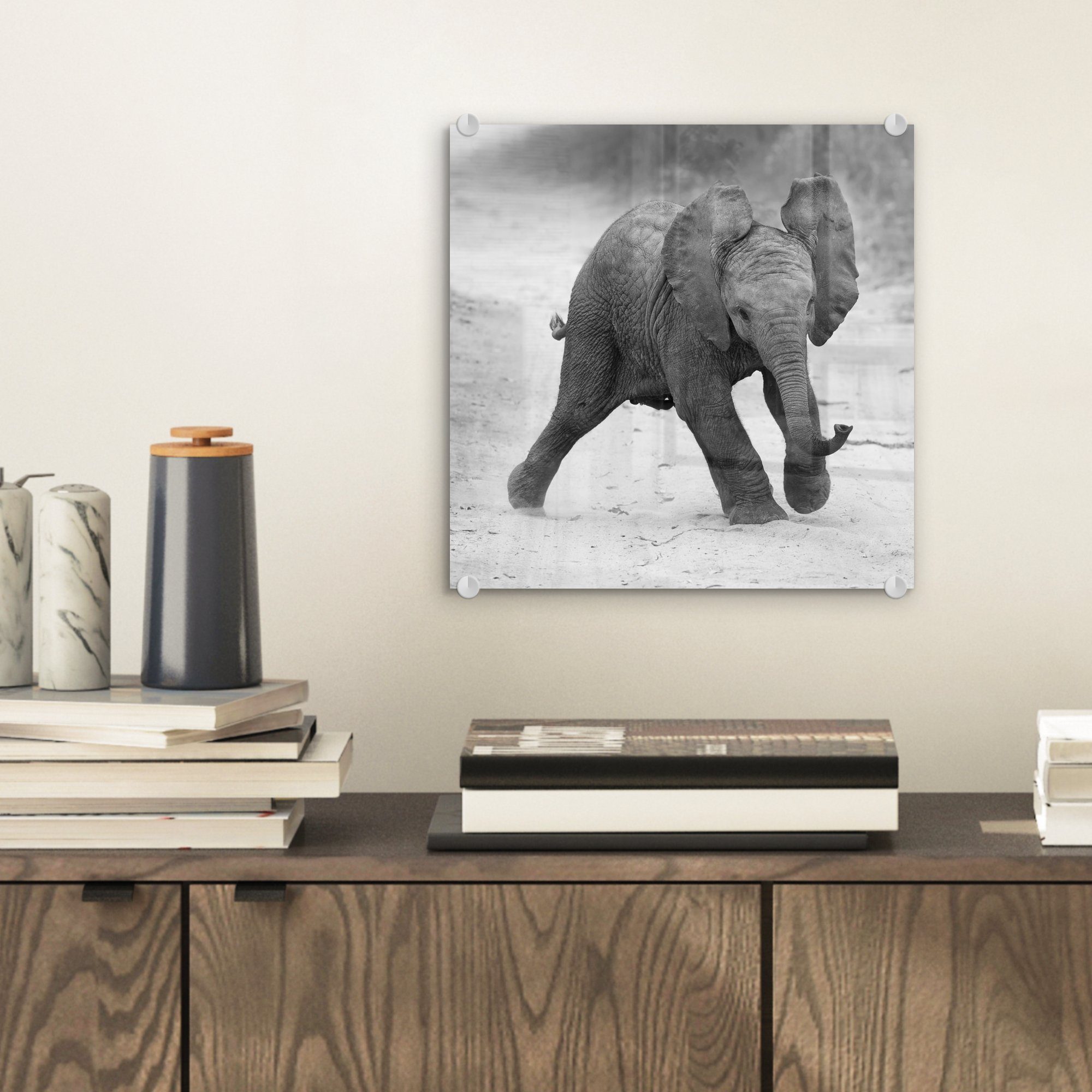 MuchoWow Acrylglasbild Elefant - Glas Kröte - Foto und Schwarz Glas - Glasbilder - Tiere (1 - Wandbild St), - weiß, auf Bilder Baby Wanddekoration - auf