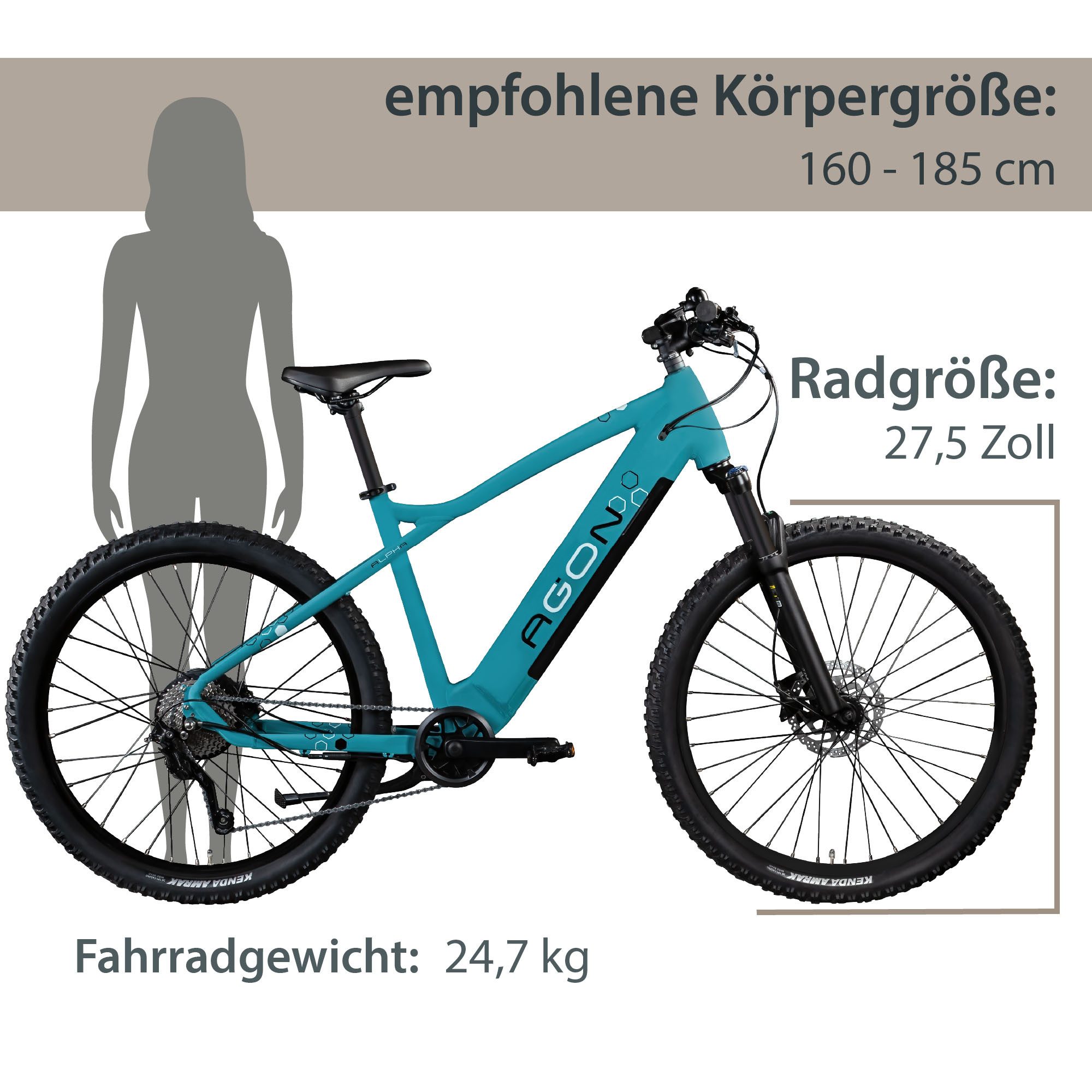 AGON E-Bike Mountainbike Alpha, 10 Gang Shimano Deore SGS T6000 Schaltwerk, Kettenschaltung, Heckmotor, 540 Wh, Pedelec, Elektrofahrrad für Damen u. Herren, MTB