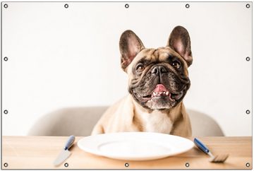 Wallario Sichtschutzzaunmatten Hund freut sich auf Essen