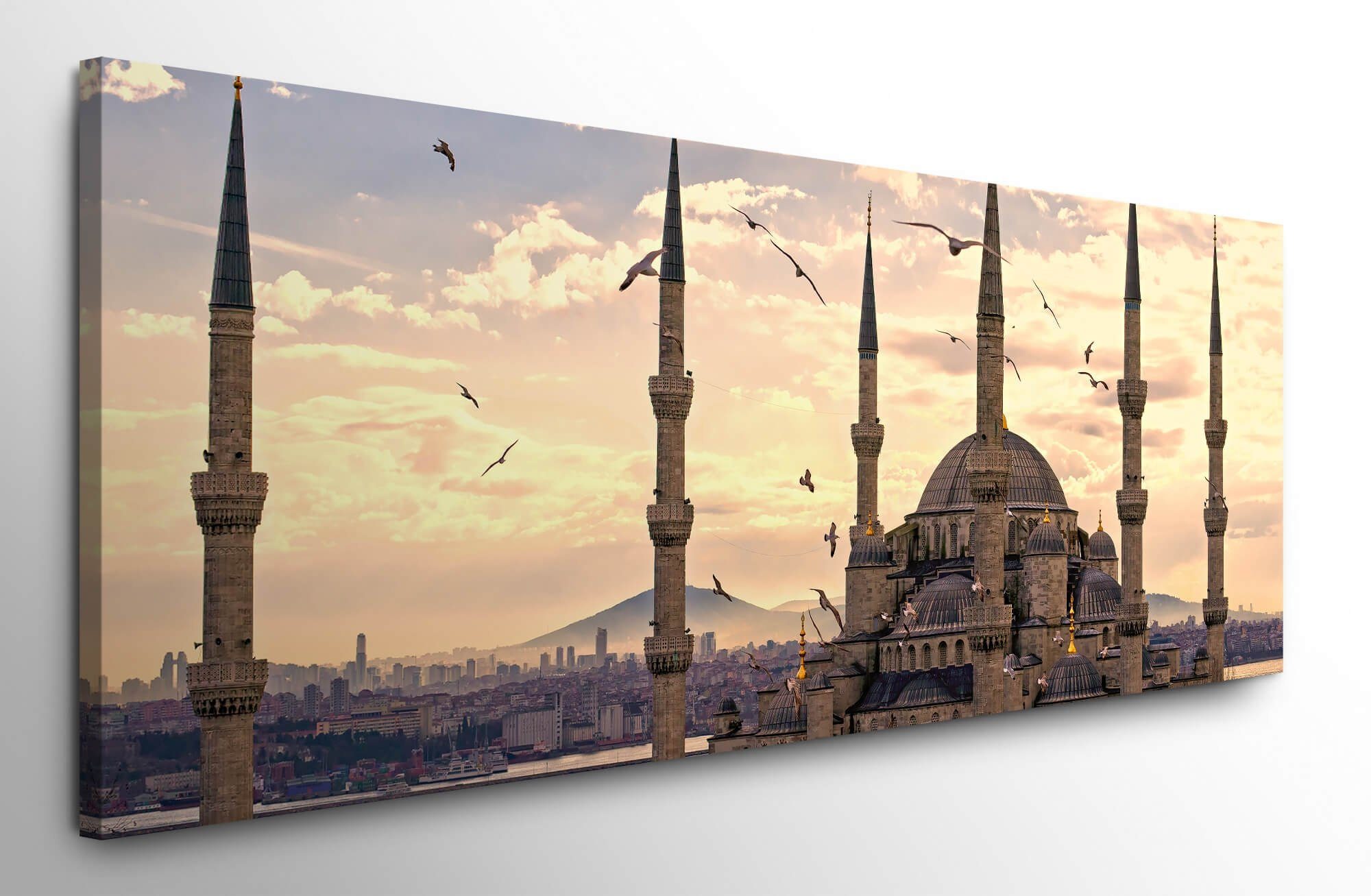 möbel-direkt.de Leinwandbild Istanbul mit Vögeln Wandbild Bilder auf XXL Leinwand