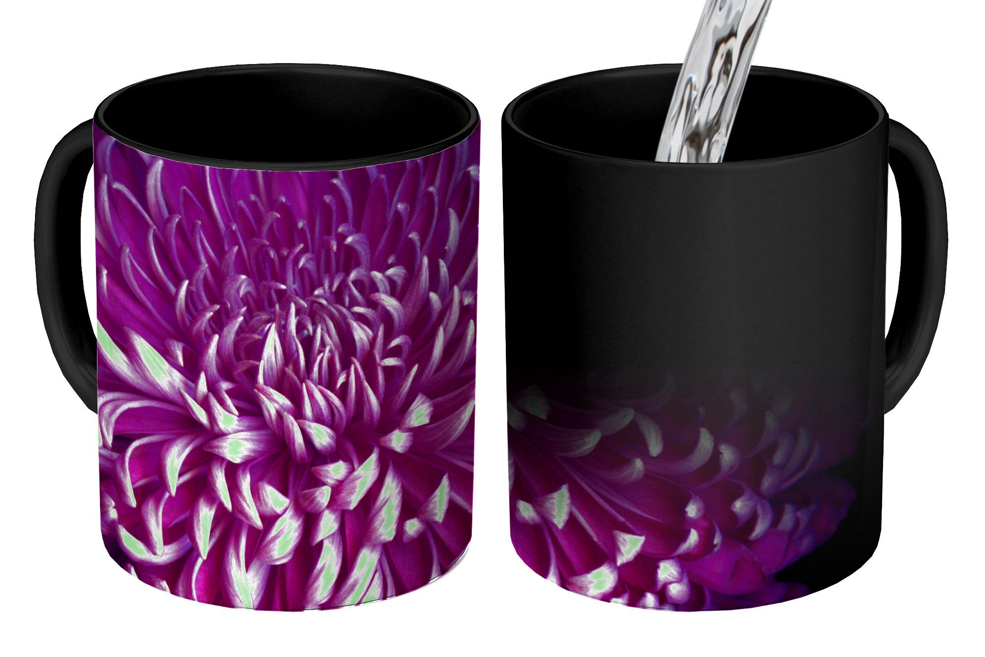 MuchoWow Tasse Die Blätter einer lila Blume auf schwarzem Hintergrund, Keramik, Farbwechsel, Kaffeetassen, Teetasse, Zaubertasse, Geschenk