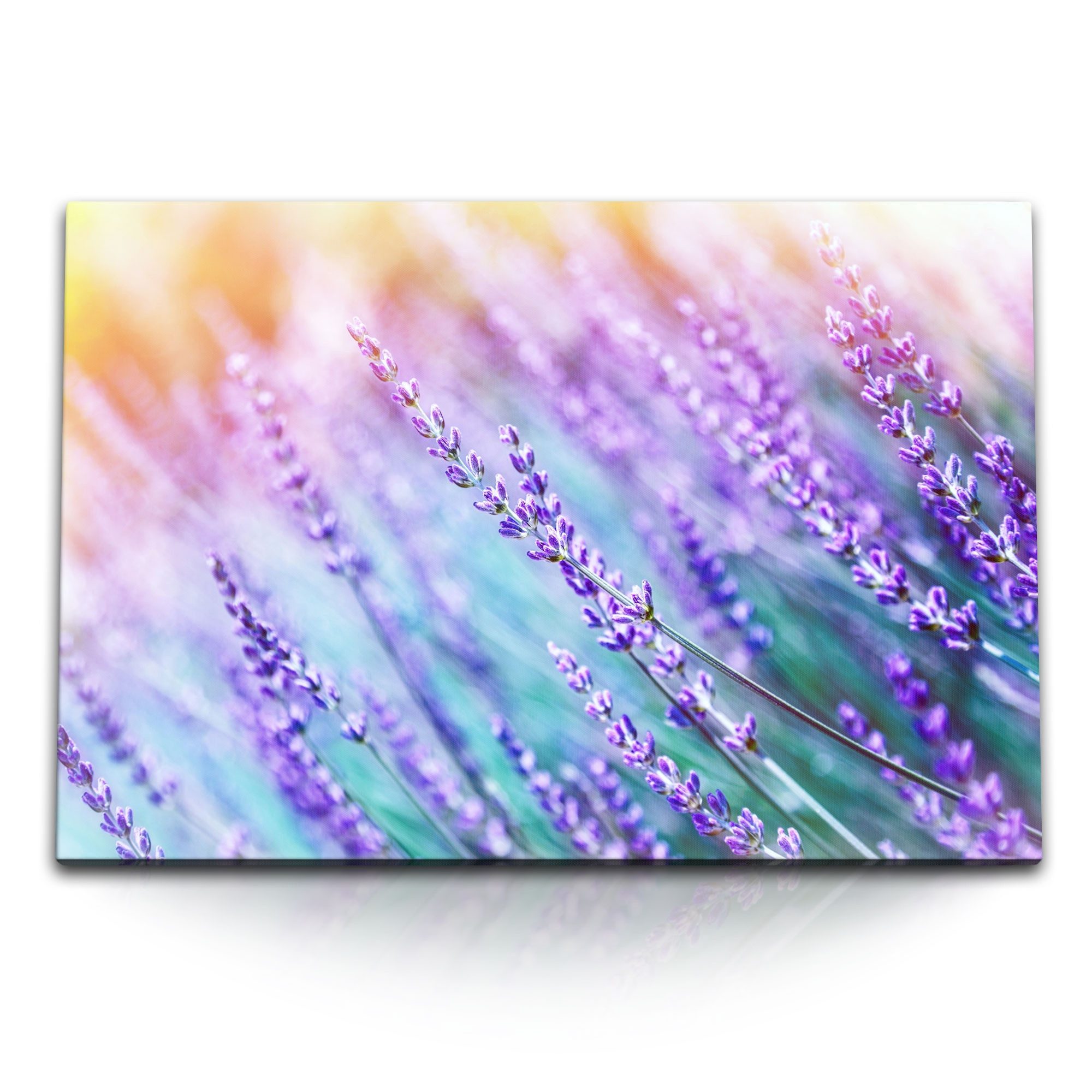 Sinus Art Leinwandbild 120x80cm Wandbild auf Leinwand Lavendel Lavendelfeld Blau Natur Blumen, (1 St)