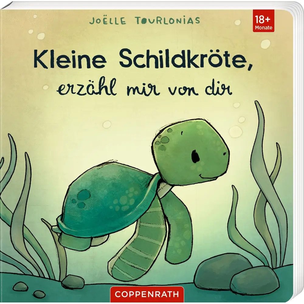 COPPENRATH DIE SPIEGELBURG Zeichenalbum Kleine Schildkröte, erzähl mir von dir - Liebling