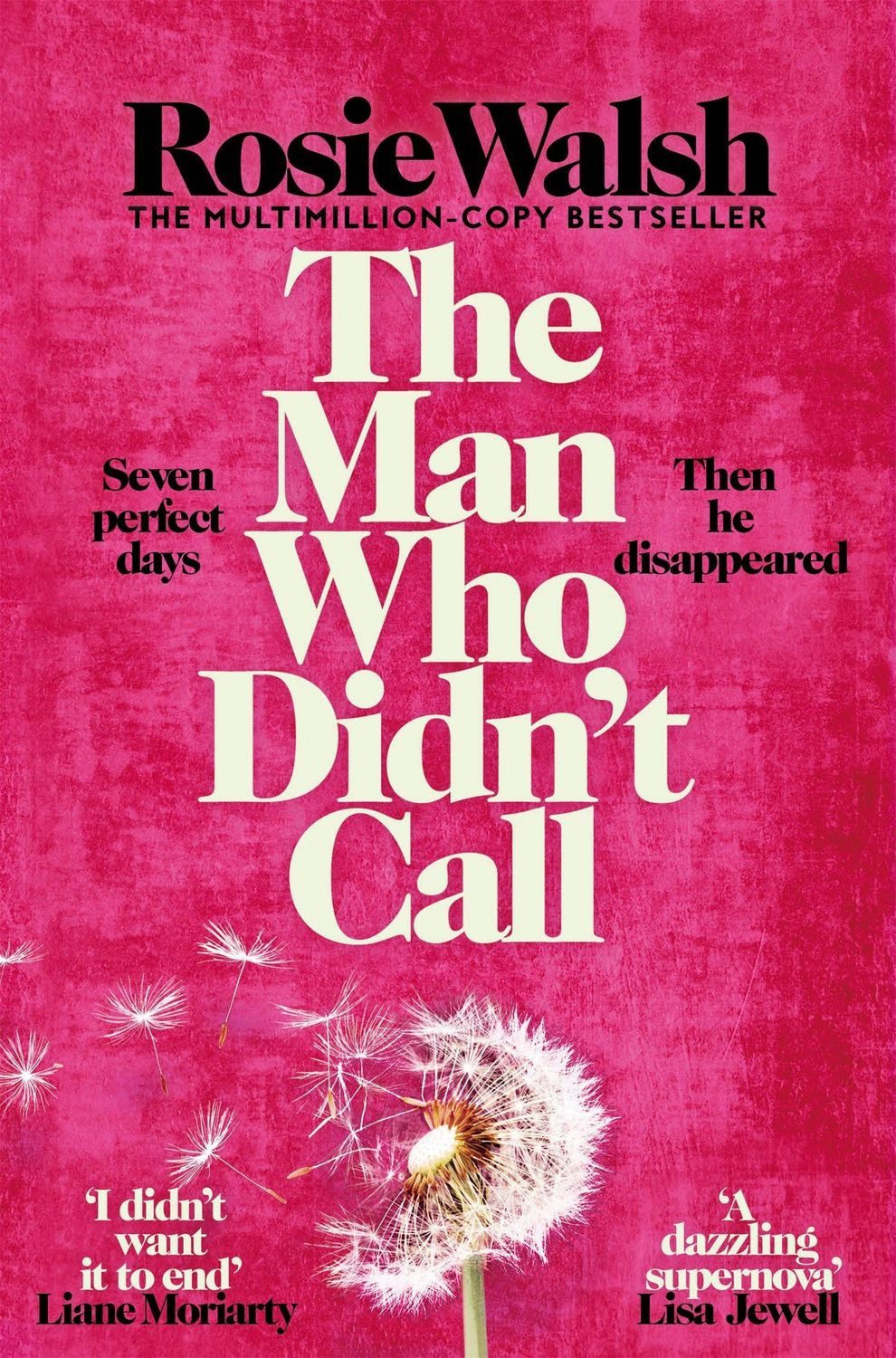 The Man Who Didn't Call / Rosie Walsh