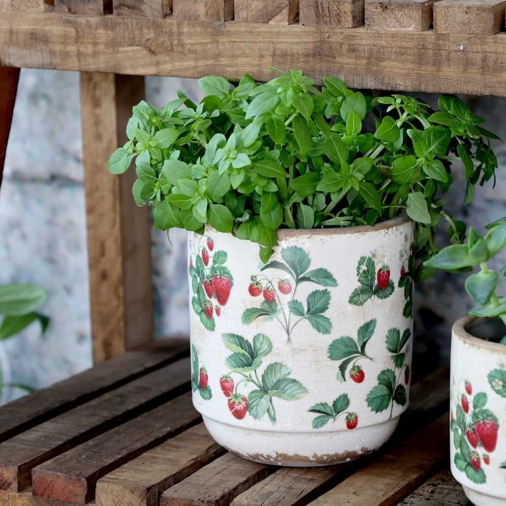 Chic Antique Blumentopf Chic Antique Blumentopf FRAISES Übertopf mit Erdbeeren 13x13 cm