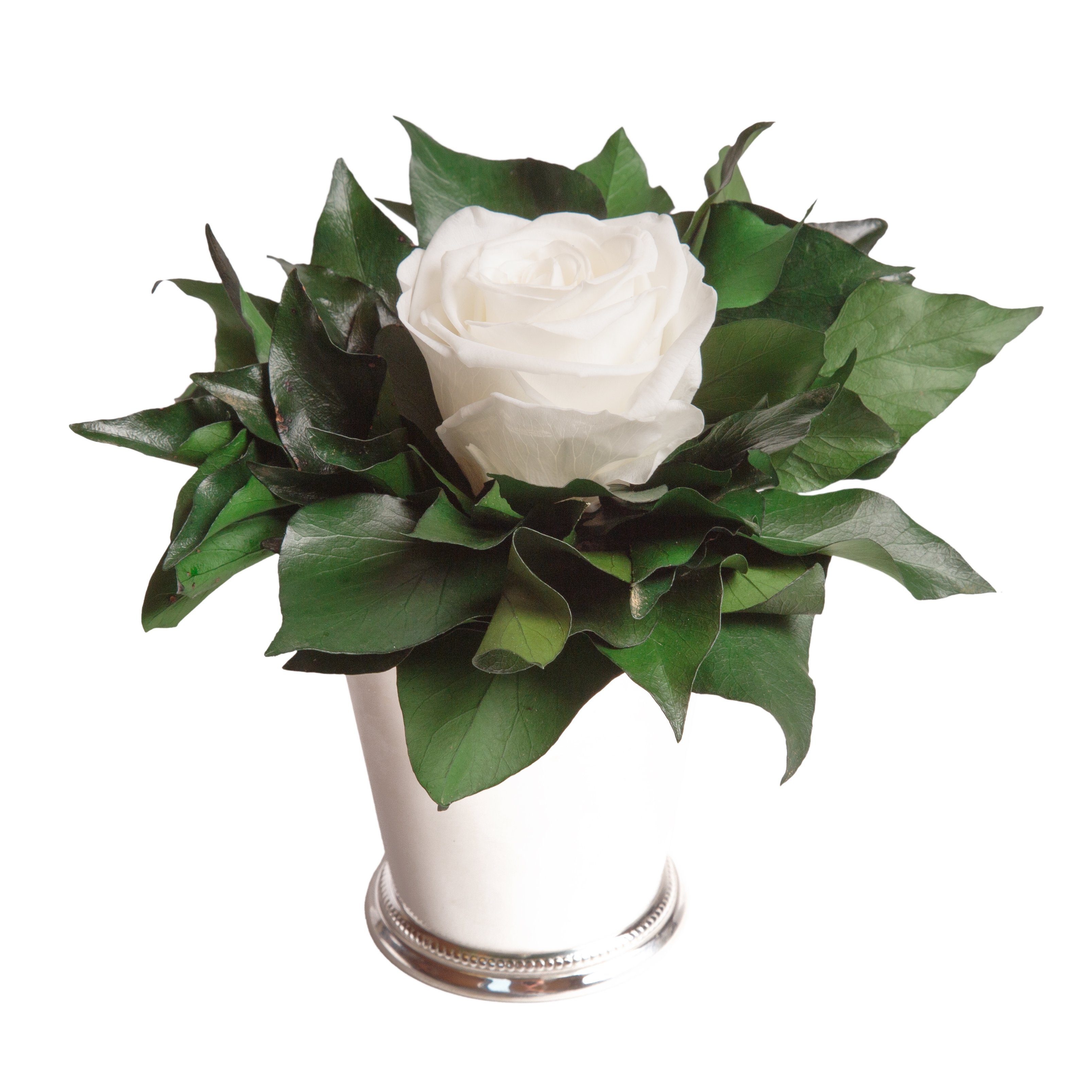 Kunstblumenstrauß Blumengesteck 1 Infinity Rose Becher silberfarben Geschenk für Frauen Rose, ROSEMARIE SCHULZ Heidelberg, Höhe 12 cm, Echte Rose lange haltbar, Made in Germany