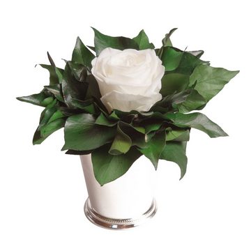 Künstliche Zimmerpflanze 1 Infinity Blume Becher silberfarben Geschenkidee für Frauen Rose, ROSEMARIE SCHULZ Heidelberg, Höhe 12 cm, Echte Rose lange haltbar