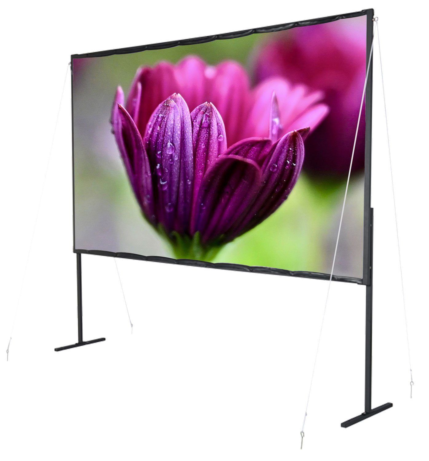Celexon basic line Faltrahmenleinwand (black_backside)