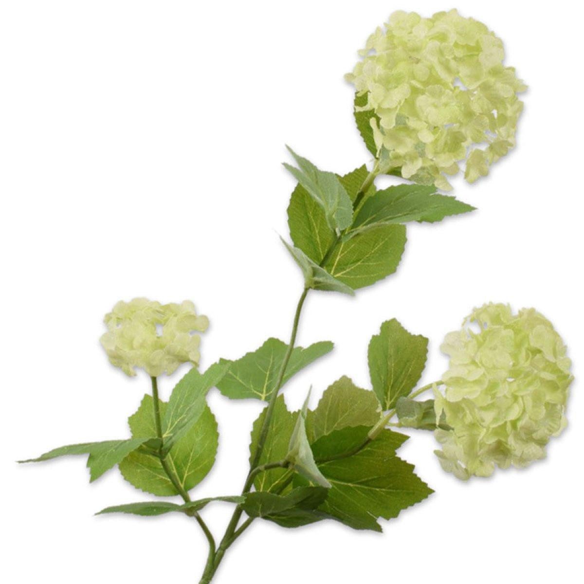 Künstliche Zimmerpflanze Seidenblume Schneeball Zweig Grün (61cm), SILK-KA