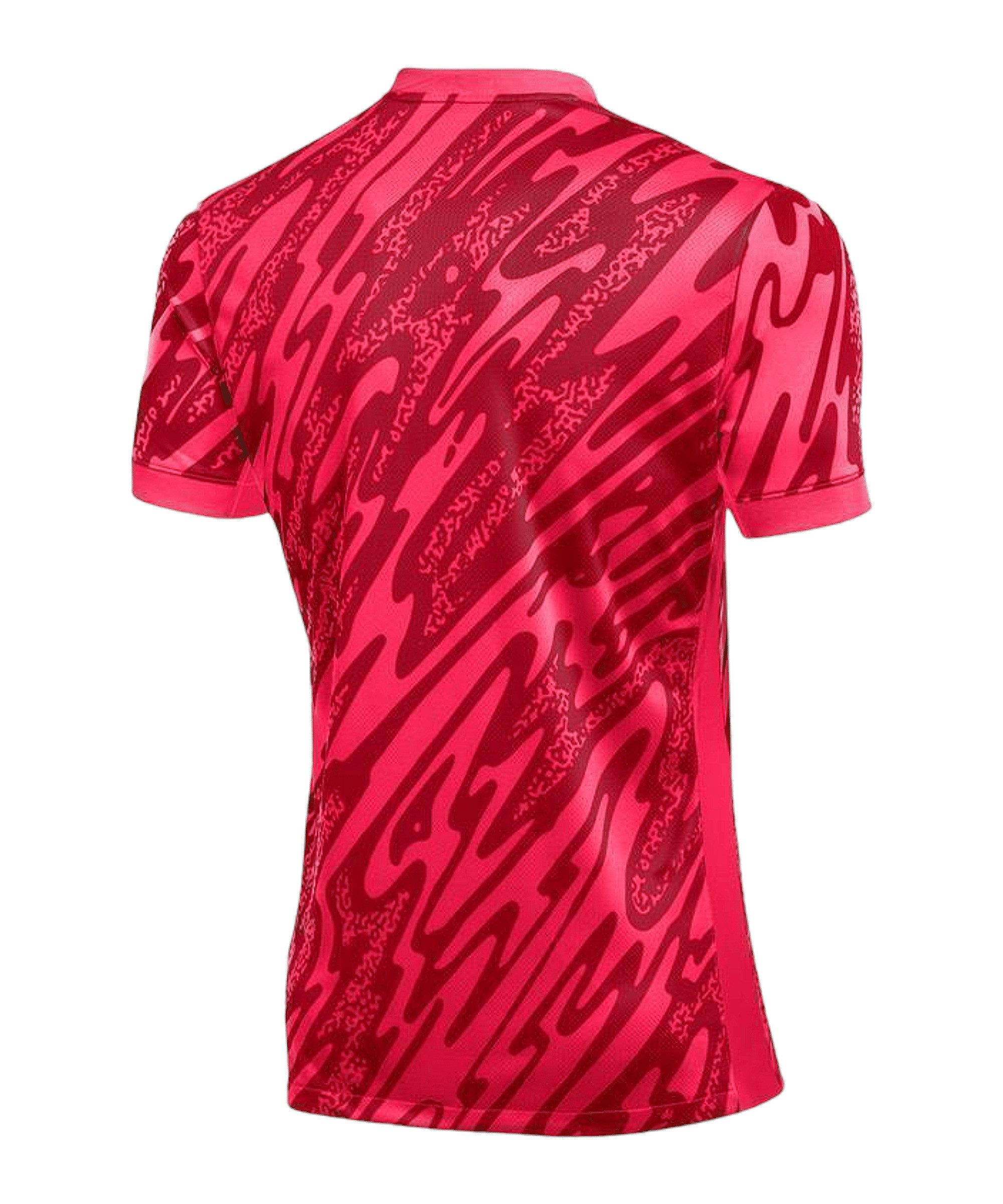 Nike Torwarttrikot Gardien V Torwarttrikot günstig online kaufen