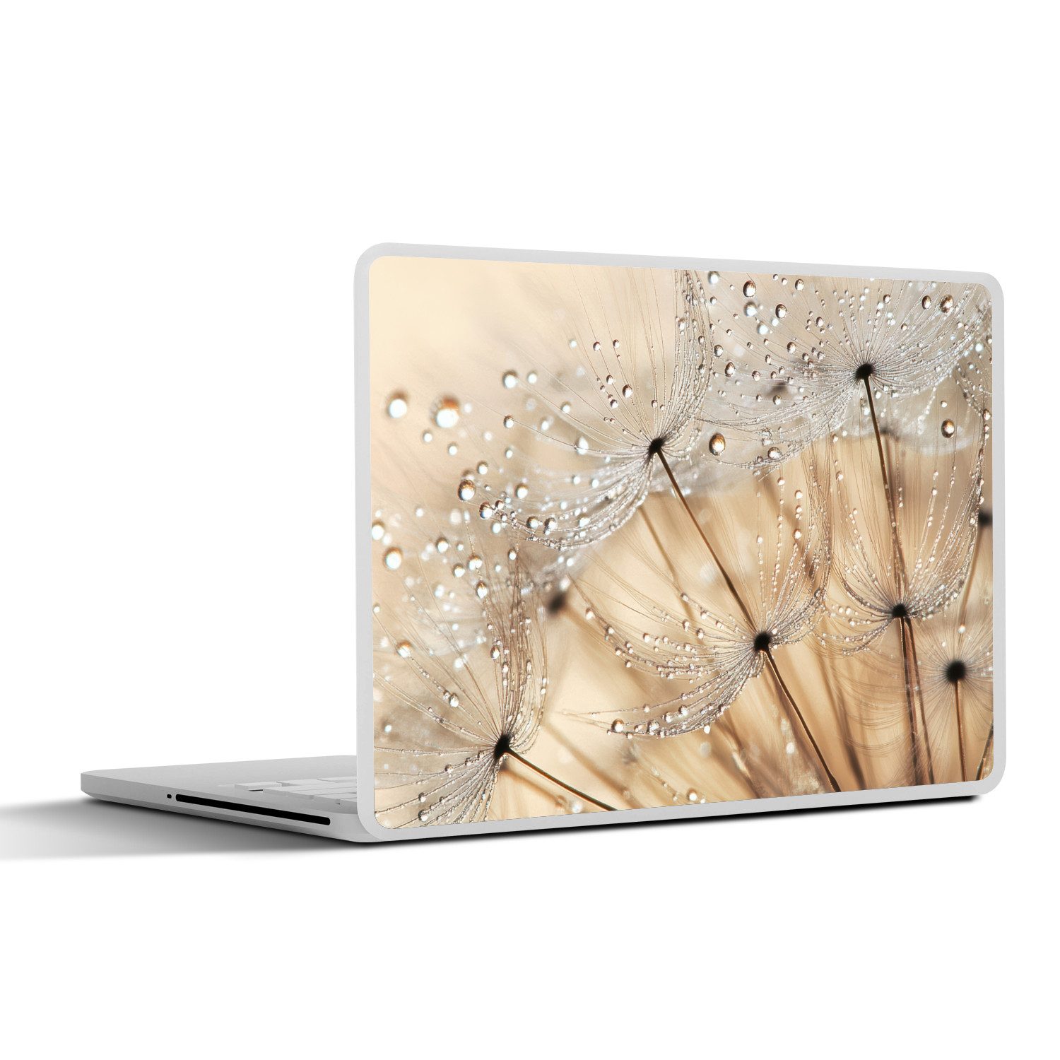 MuchoWow Laptop-Aufkleber Löwenzahn - Abstrakt - Natur - Beige, (1tlg), Laptop Folien Cover, Aufkleber, Sticker, Schutz vor Kratzern, 25x18 cm