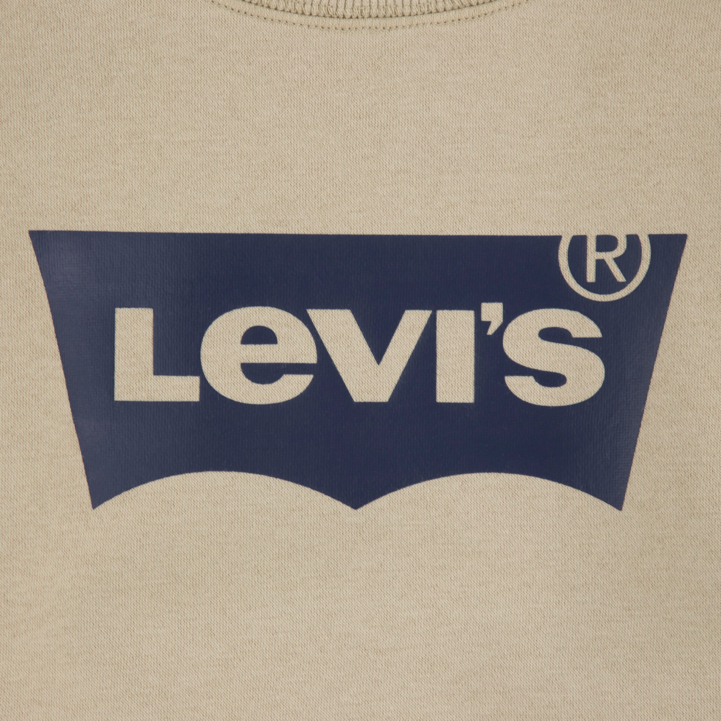 Levi's® Kids Sweatshirt LVB LVB FRENCH TERRY BATWING mit großem Logo