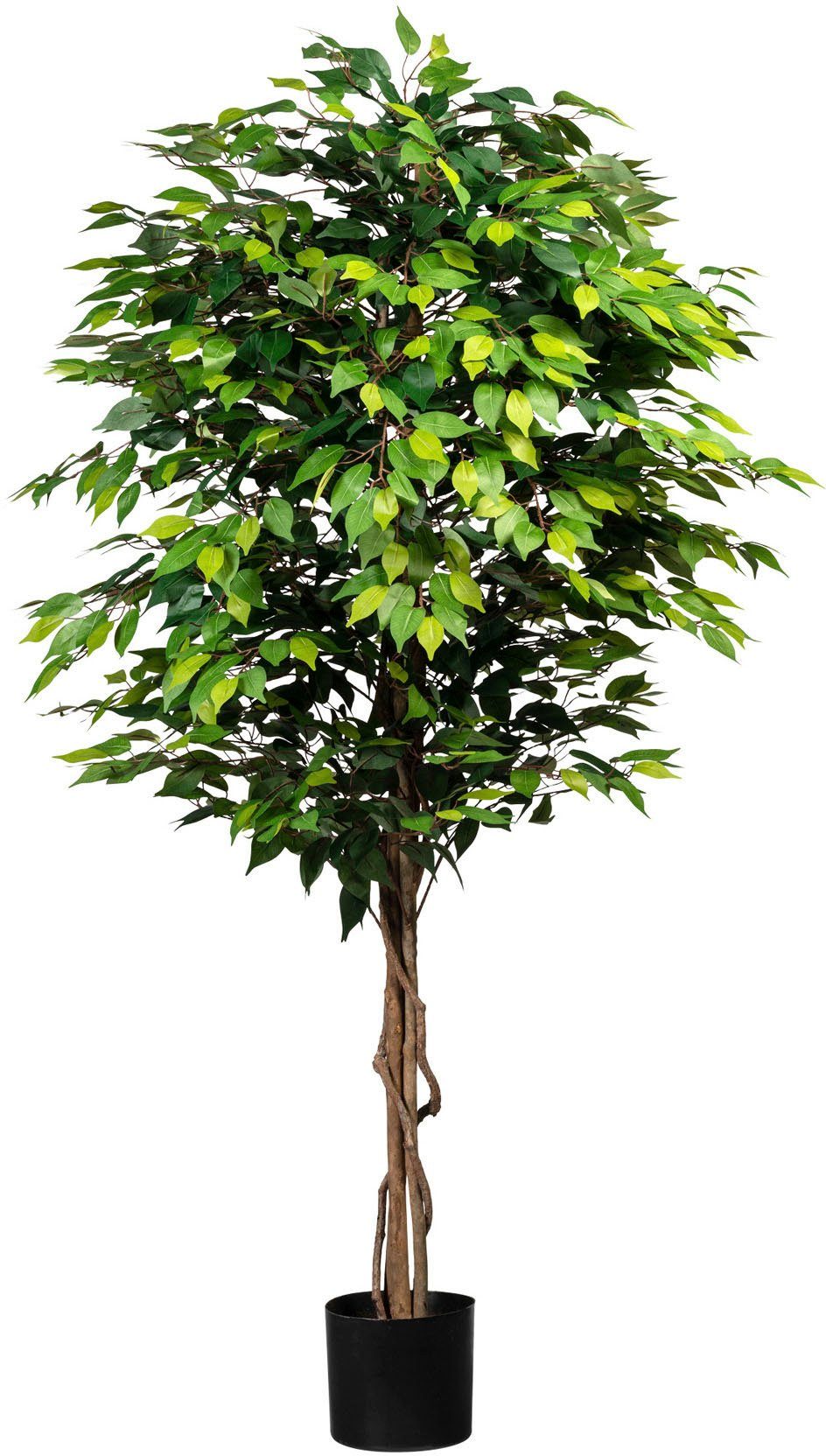 Kunstpflanze green, Creativ 180 Höhe cm Benjamini, Ficus