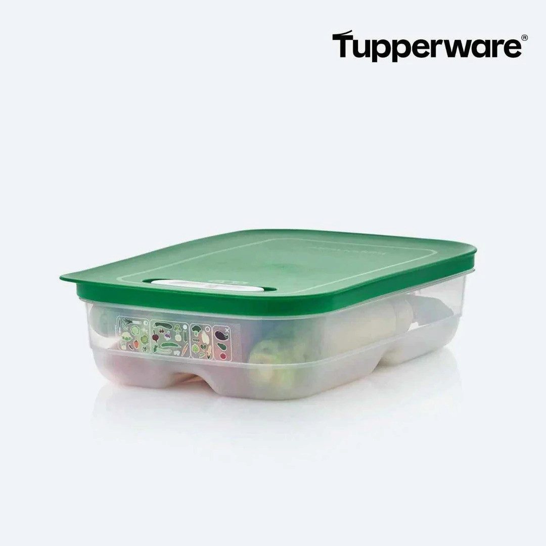 TUPPERWARE Frischhaltedose KlimaOase 1,8 l flach