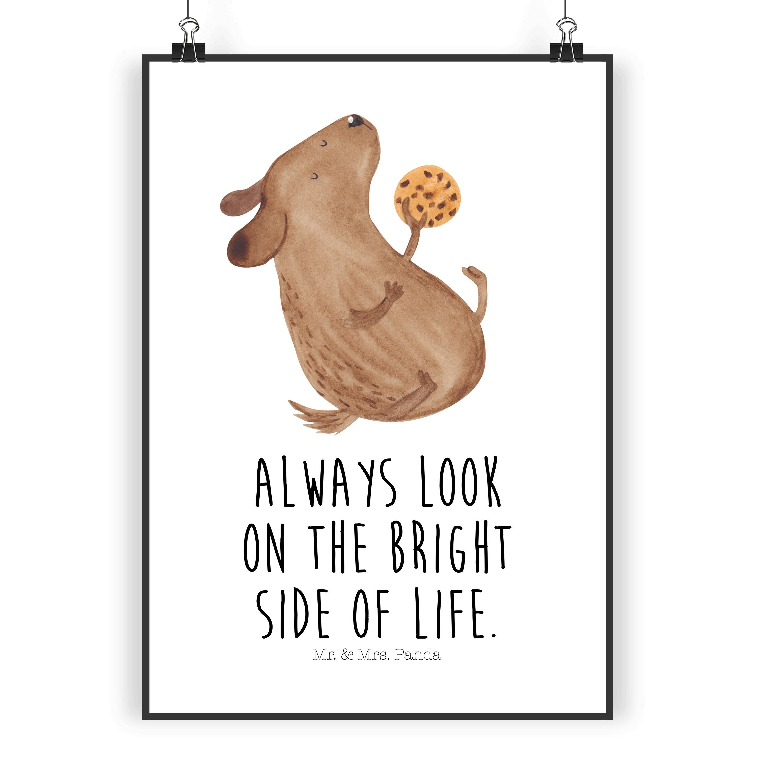 Poster DIN A5 Hund Keks - Weiß - Geschenk, Kunstdruck, Hundeleckerli, Poster