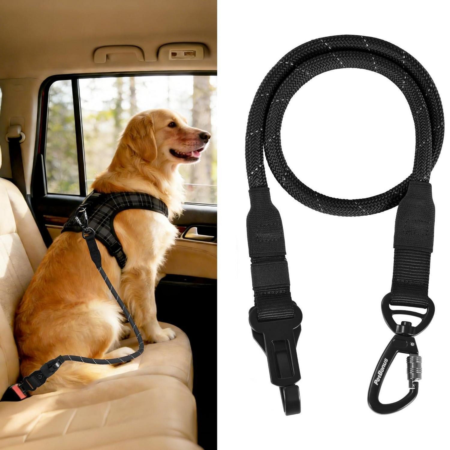 LuxusKollektion Autohundegeschirr Hunde Sicherheitsgurt Anschnallgurt Auto Karabiner Schwarz