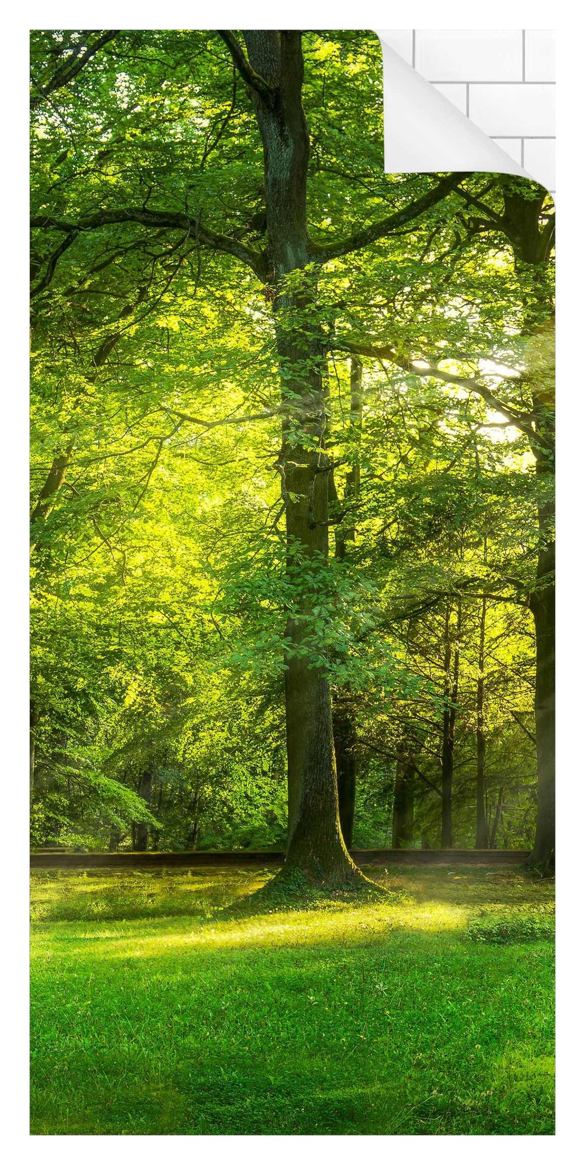 Bilderdepot24 Duschrückwand Fliesen Wald grün Duschrückwand ohne Bohren Dusche Natur, (1-tlg., 0,61 mm starke Folie selbstklebend Wandpaneele Dusche versch. Größen), fugenlose & wasserfeste Motiv Rückwand Wandverkleidung für Duschkabine