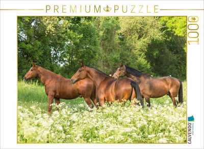 CALVENDO Puzzle CALVENDO Puzzle Pferde im Grünen 1000 Teile Lege-Größe 64 x 48 cm Foto-Puzzle Bild von ella, 1000 Puzzleteile