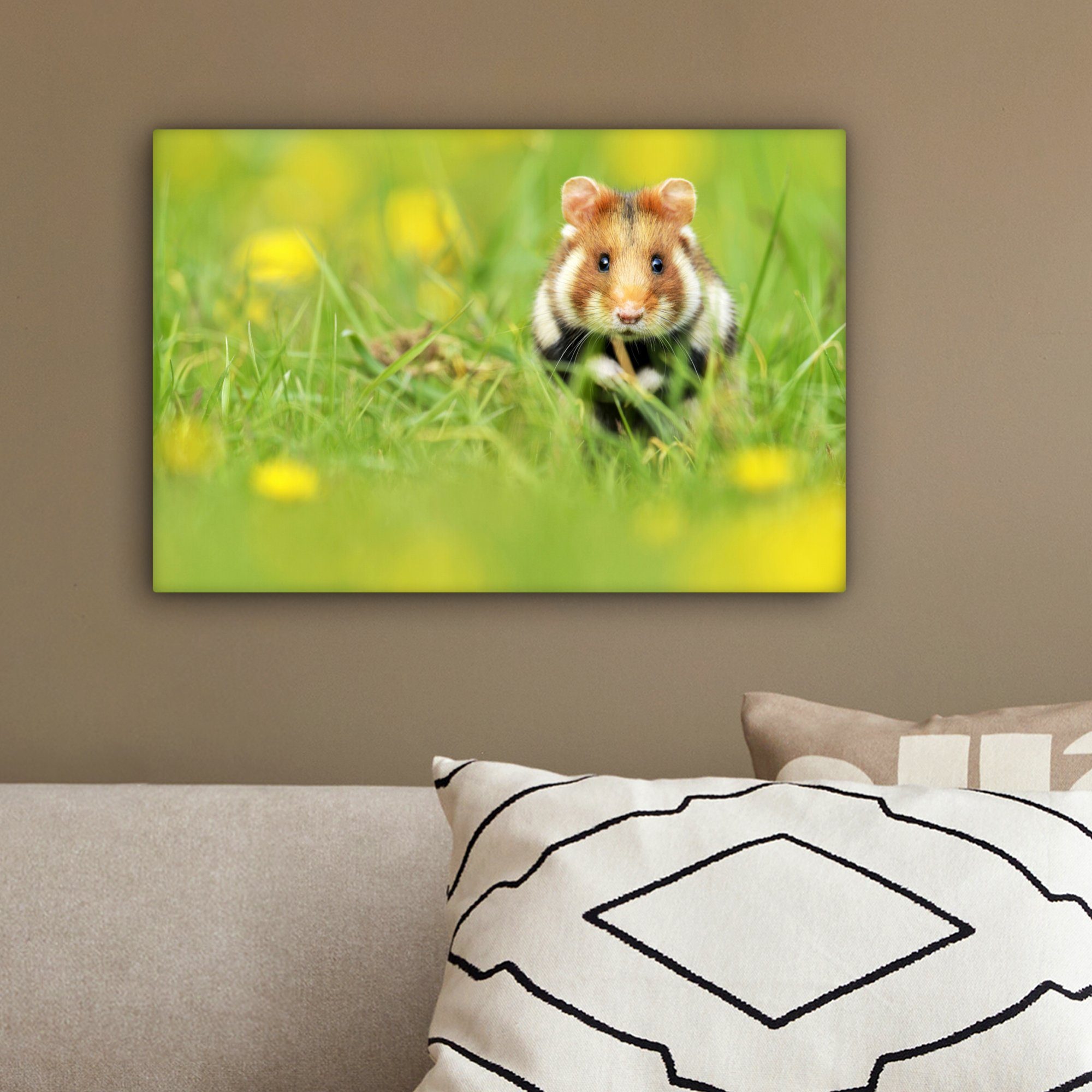 im Wandbild St), Hamster Wanddeko, 30x20 Gras, cm Aufhängefertig, (1 Europäischer OneMillionCanvasses® Leinwandbild Leinwandbilder,