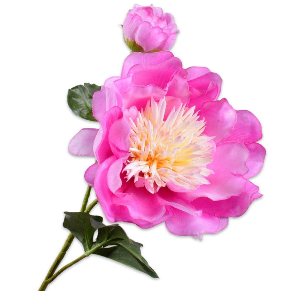Künstliche Zimmerpflanze Seidenblume Pfingstrose Knospe Pink (79cm), SILK-KA