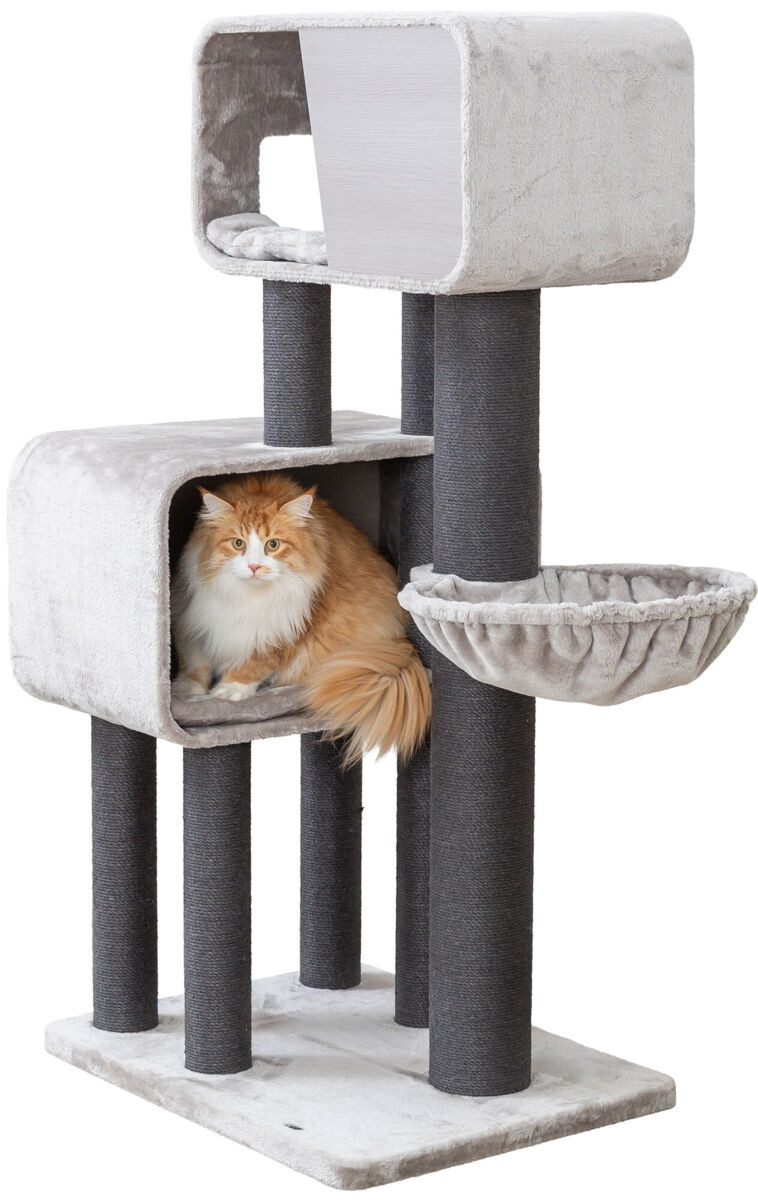 TRIXIE Kratzbaum Kratzbaum XXL Rafael - grau - 156 cm