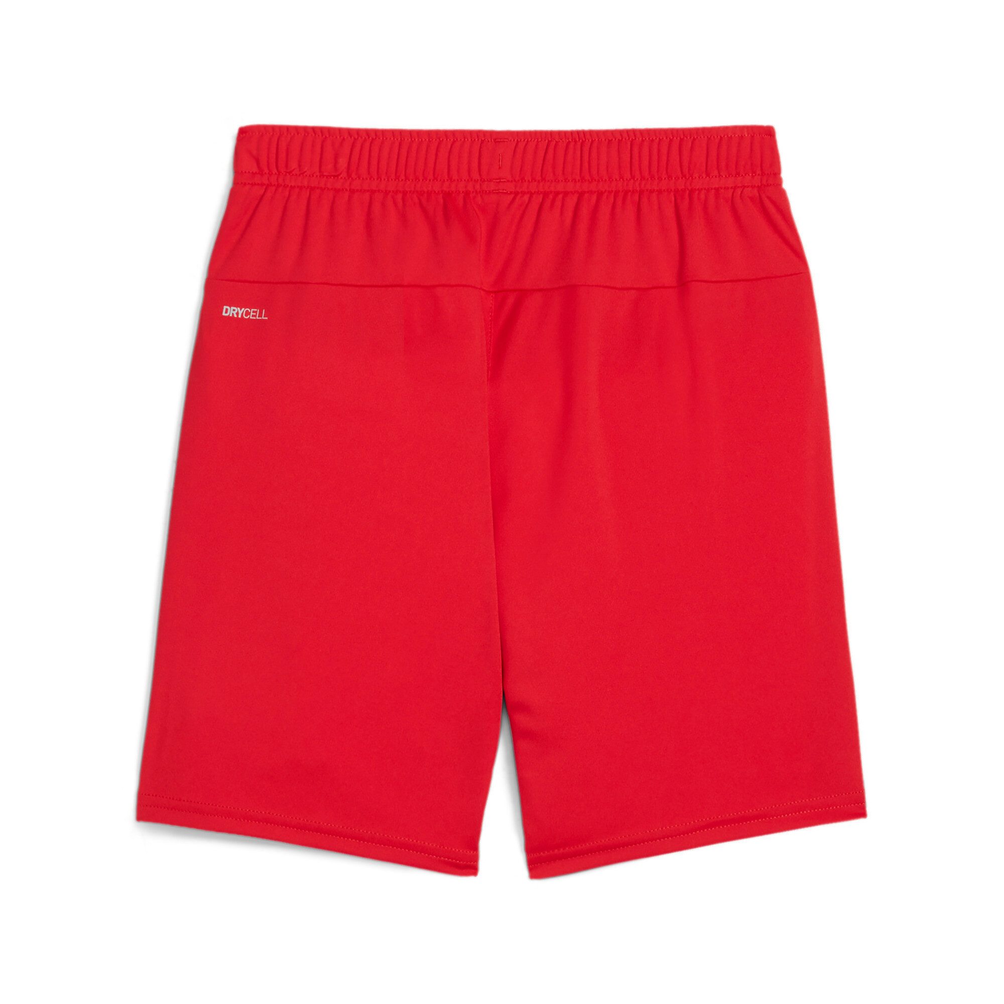 PUMA Trainingsshorts TEAMGOAL SHORTS JR günstig online kaufen
