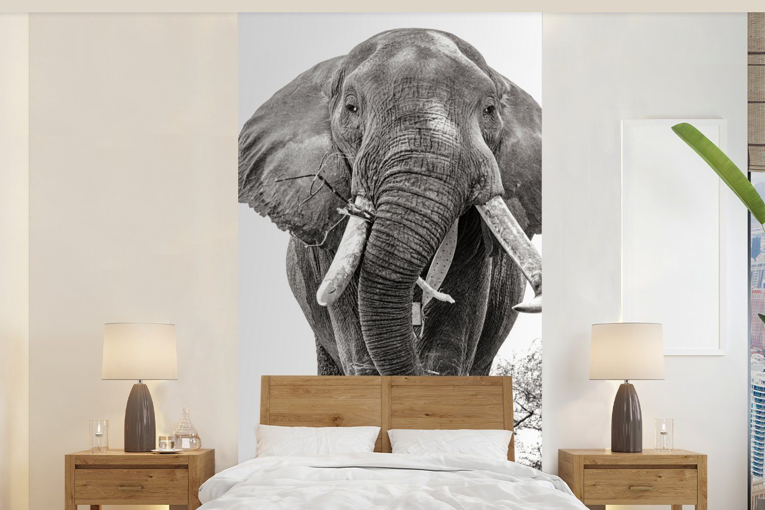 Tiere Schlafzimmer (2 Matt, - bedruckt, MuchoWow - Elefant Fototapete weiß, und Wohnzimmer St), Küche, Porträt Schwarz für - Vliestapete Fototapete